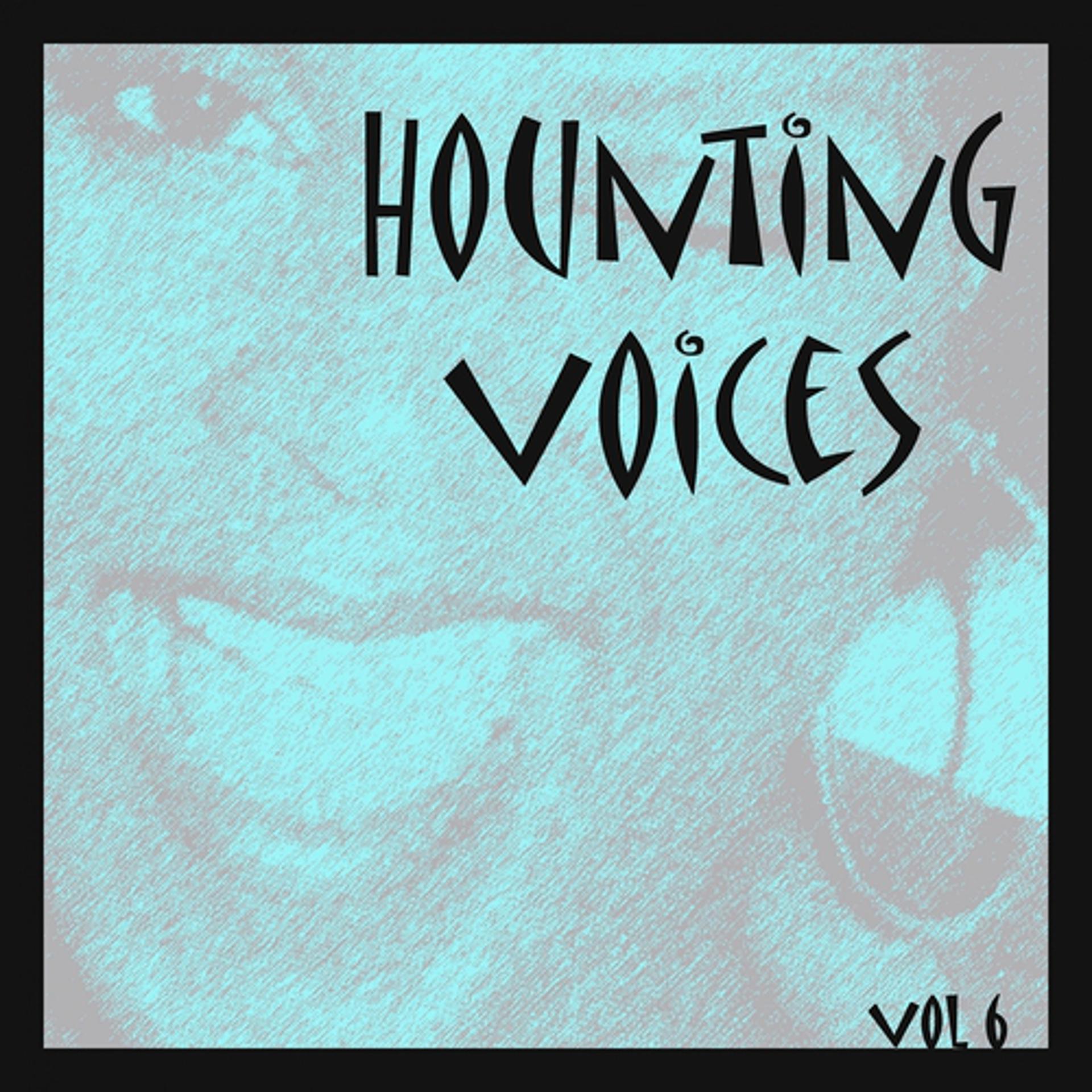Постер альбома Hounting Voices, Vol. 6 (Baby I Don't Care)