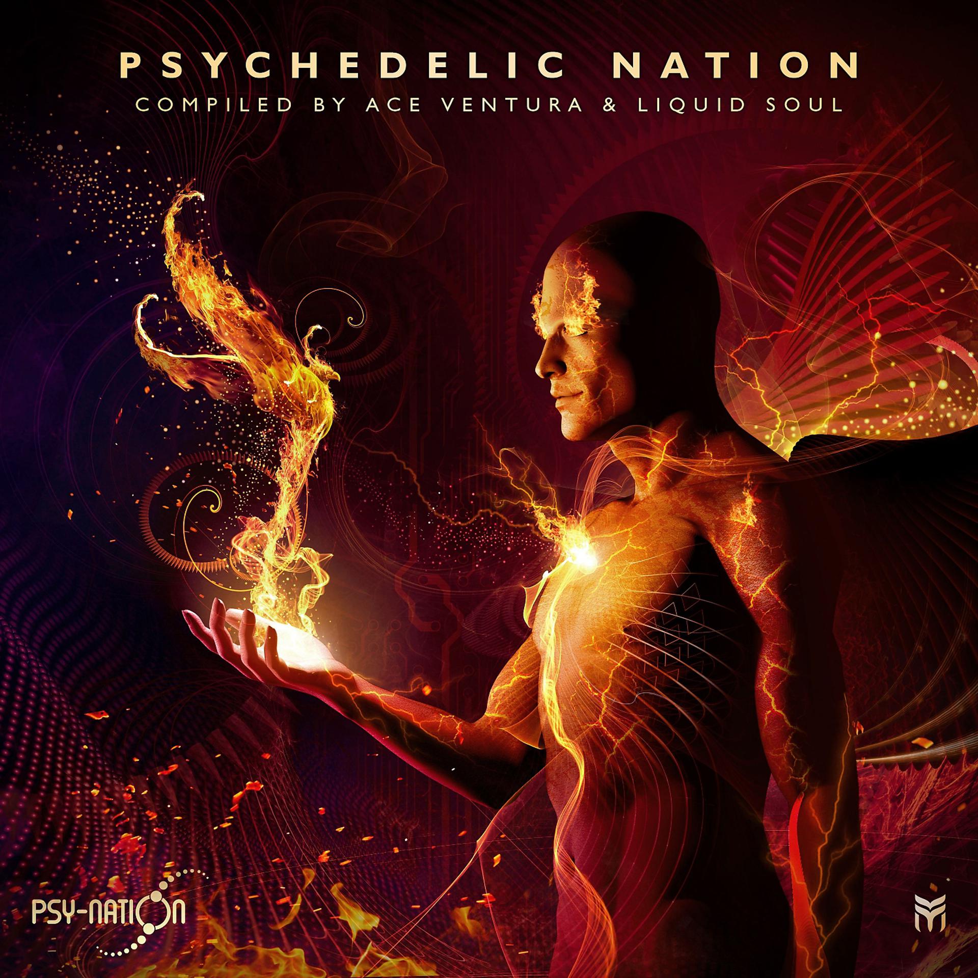 Постер альбома Psychedelic Nation