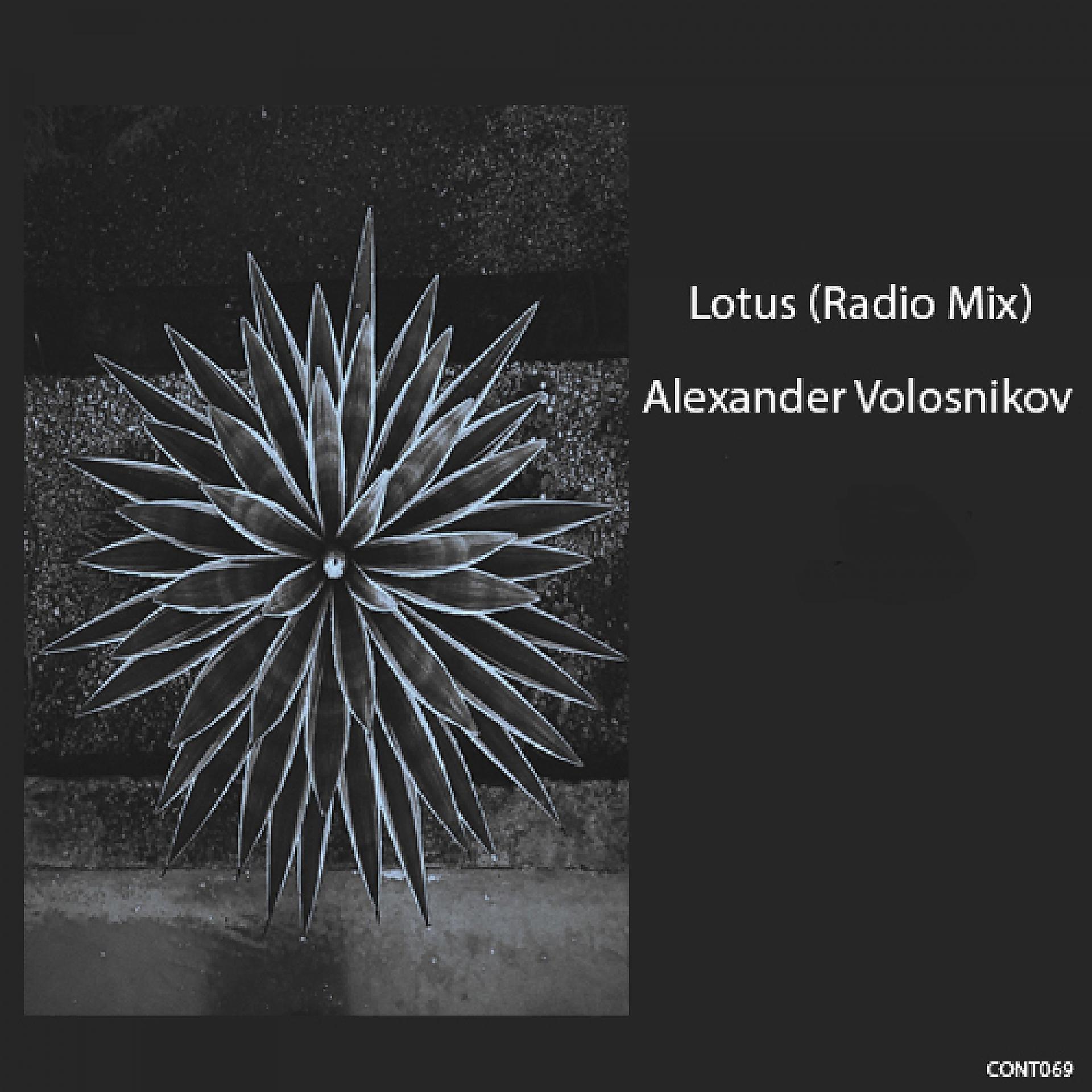 Постер альбома Lotus (Radio Mix)