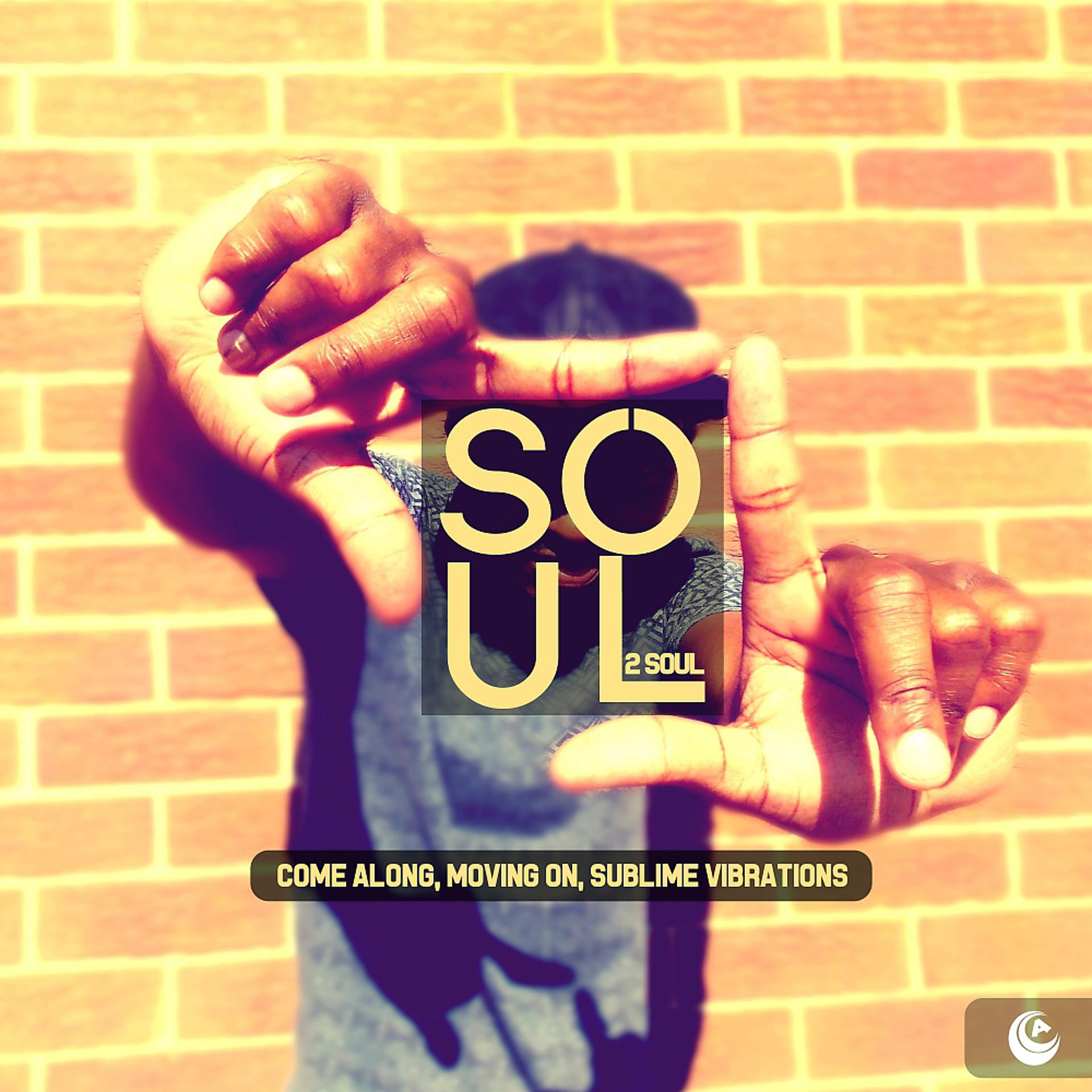 Постер альбома Soul 2 Soul