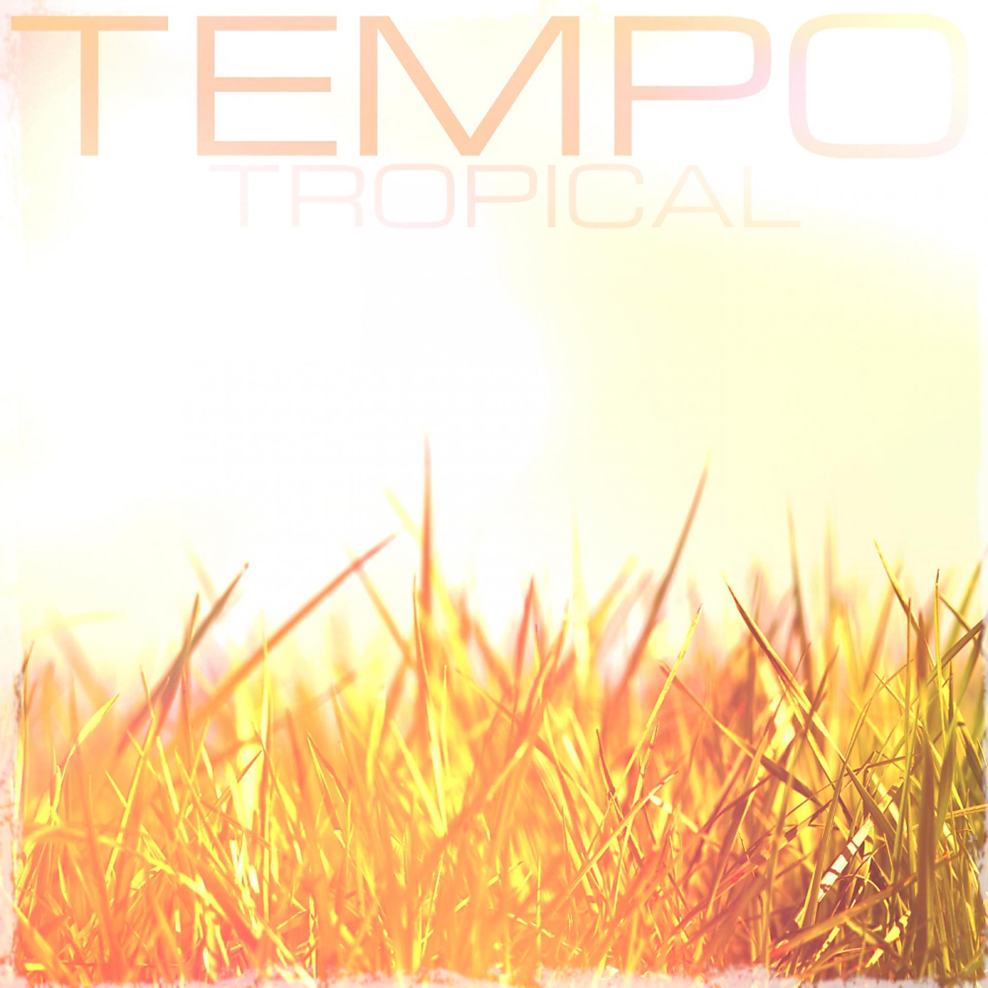 Постер альбома Tempo Tropical