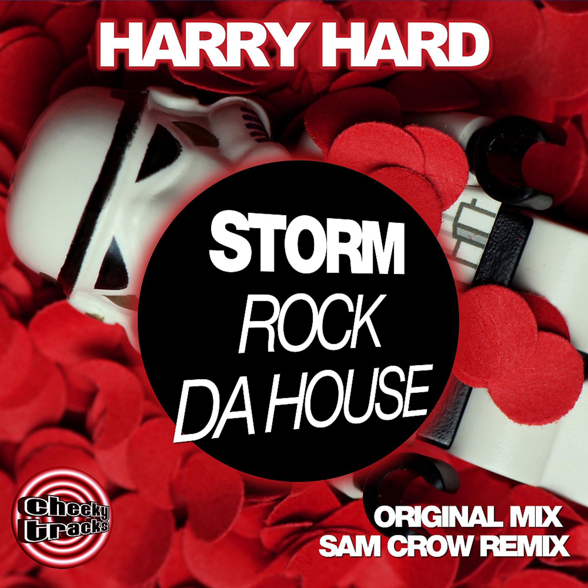 Постер альбома Storm (Rock Da House)
