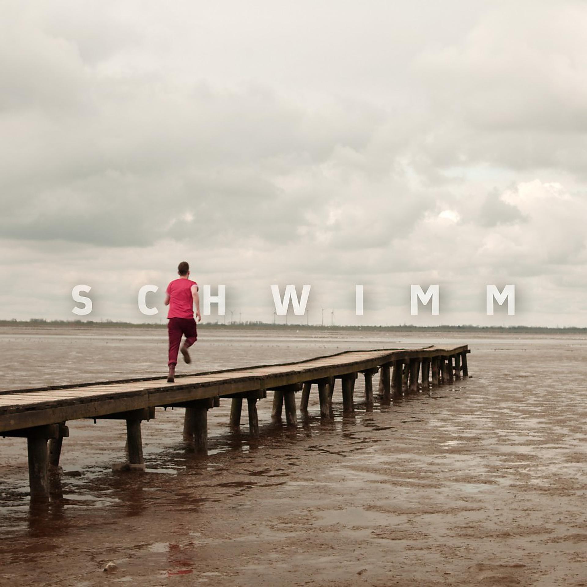 Постер альбома Schwimm