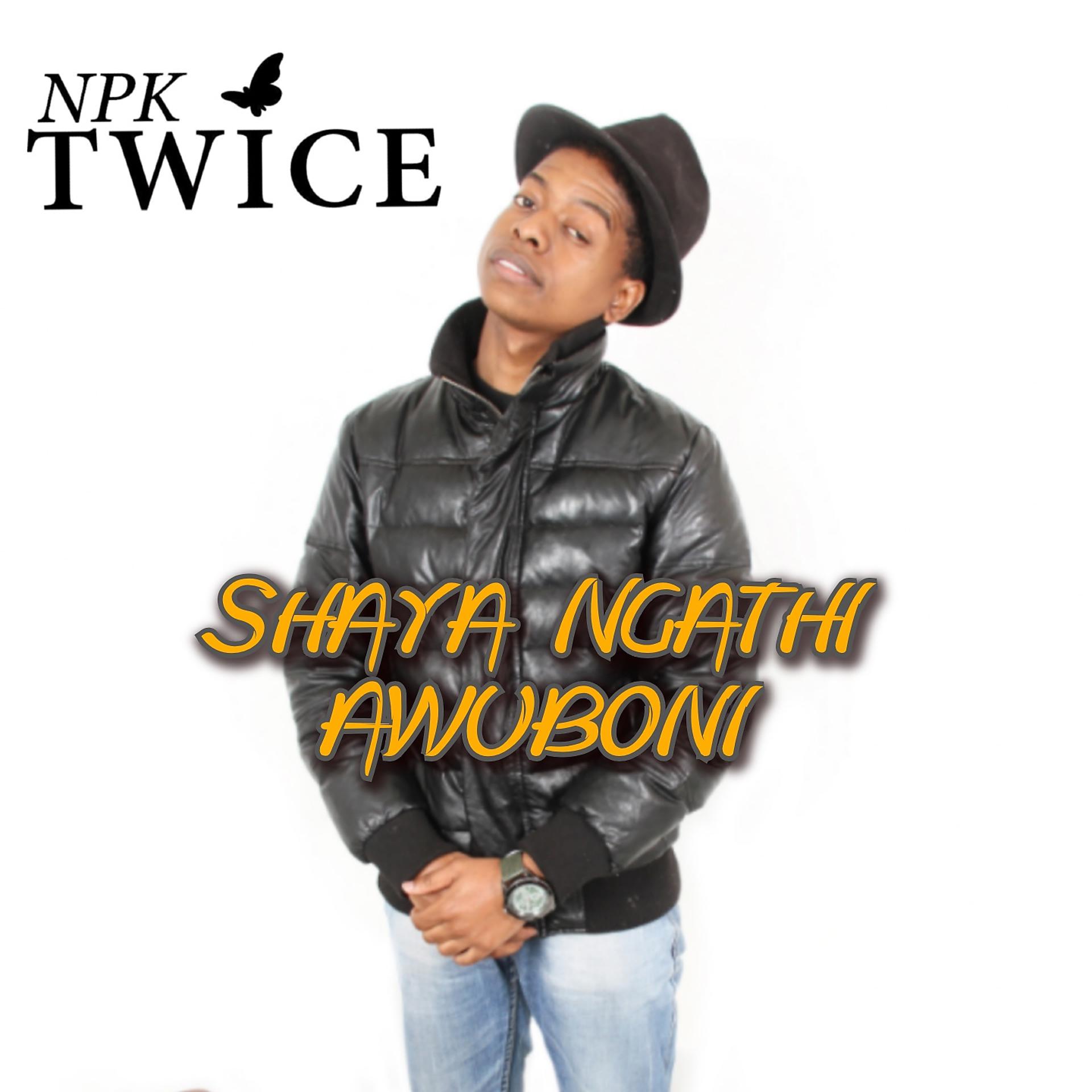 Постер альбома Shaya Ngathi Awuboni