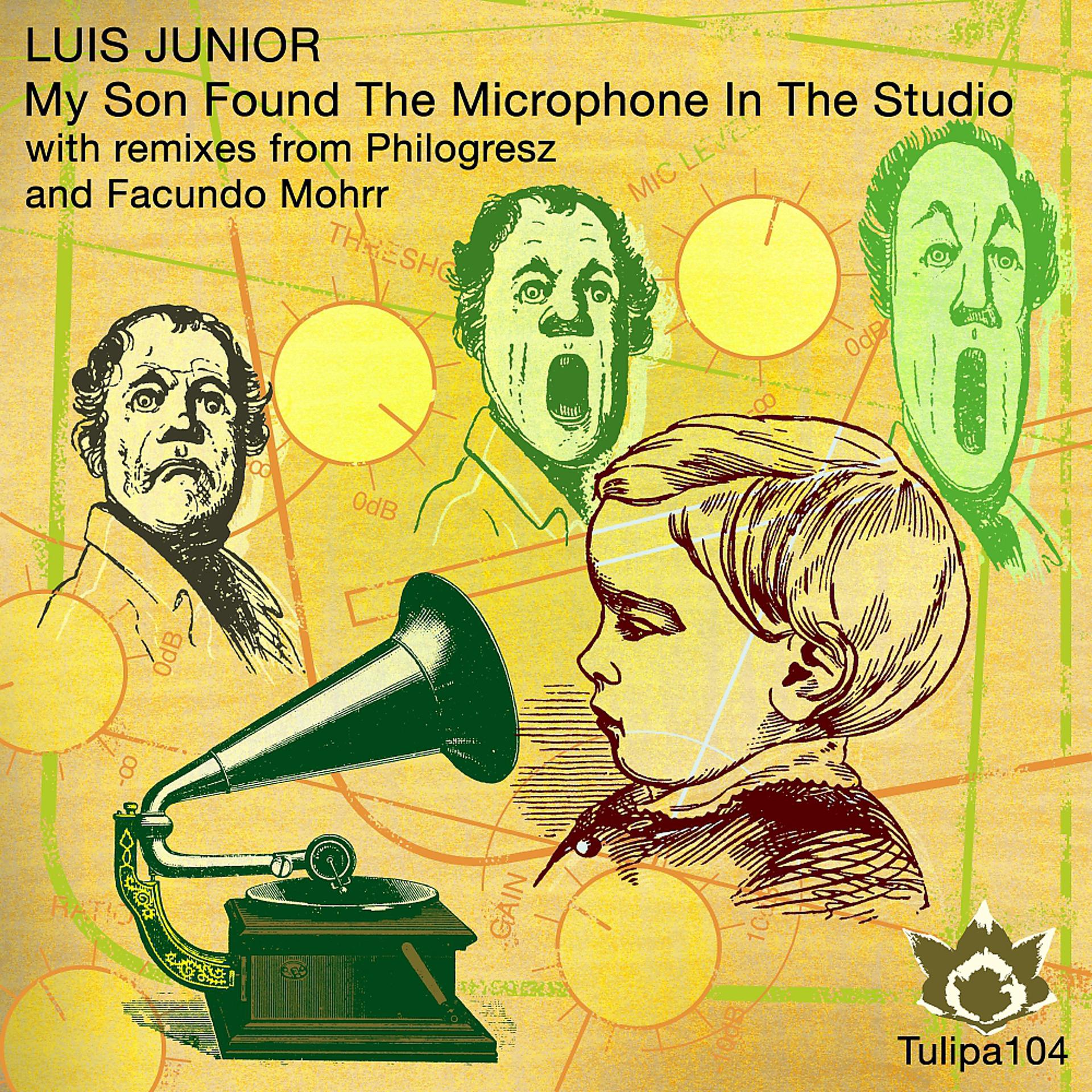 Постер альбома My Son Found The Microphone In The Studio