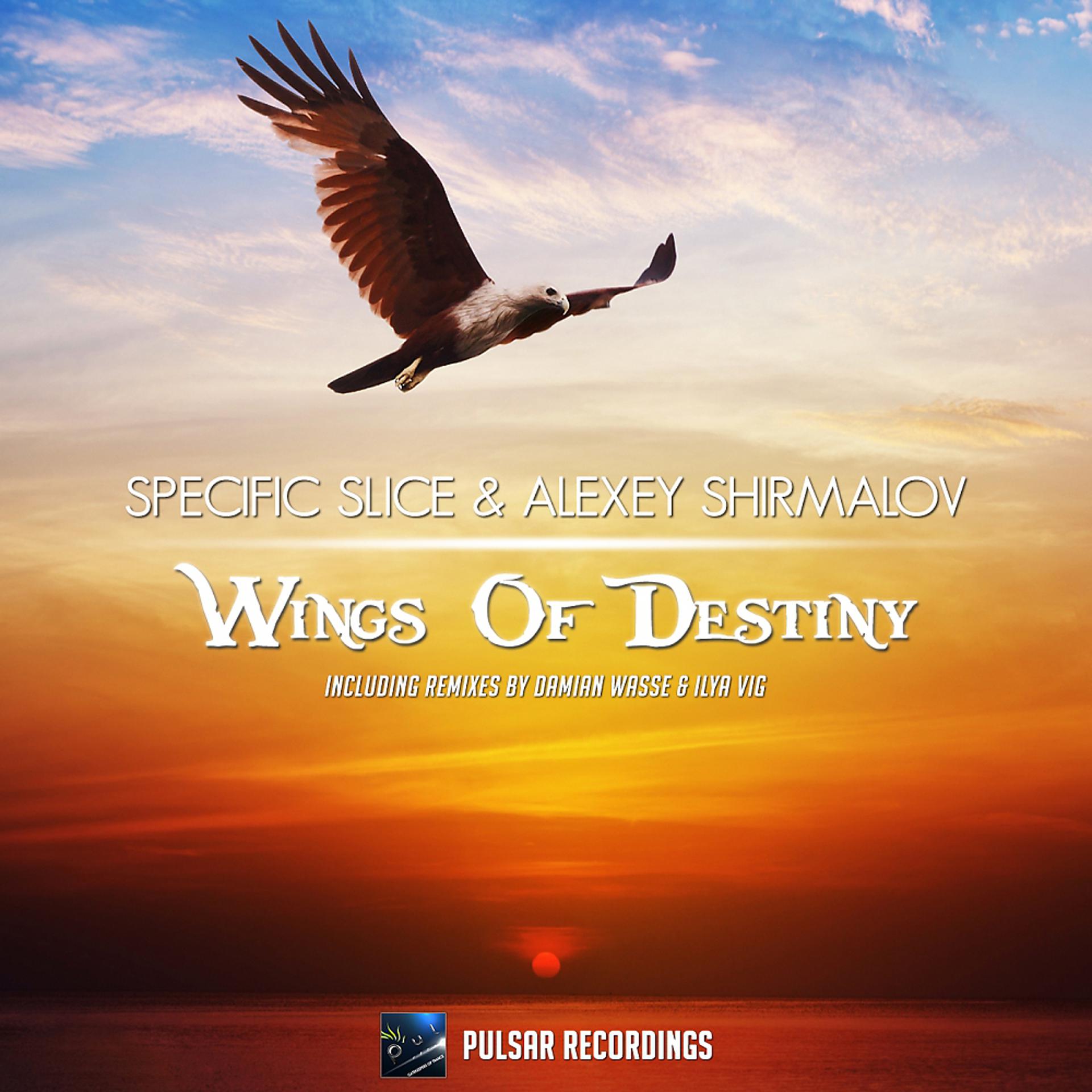 Постер альбома Wings Of Destiny