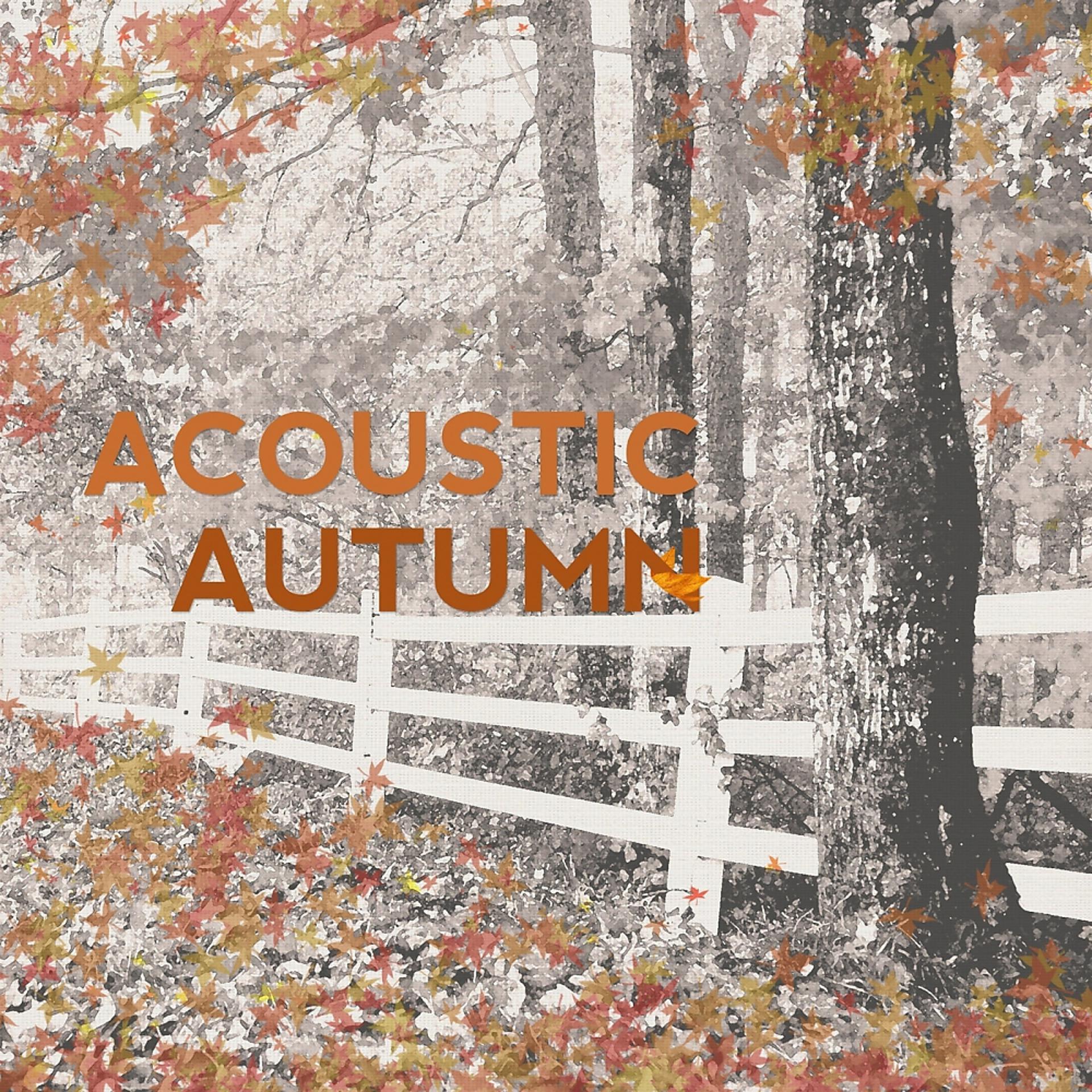 Постер альбома Acoustic Autumn