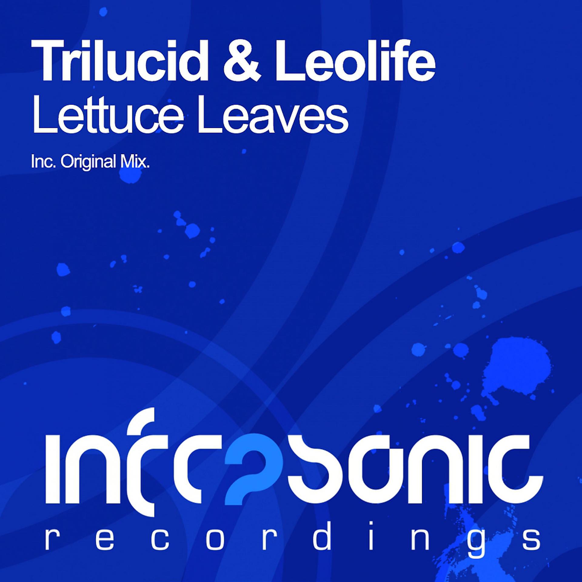 Постер альбома Lettuce Leaves