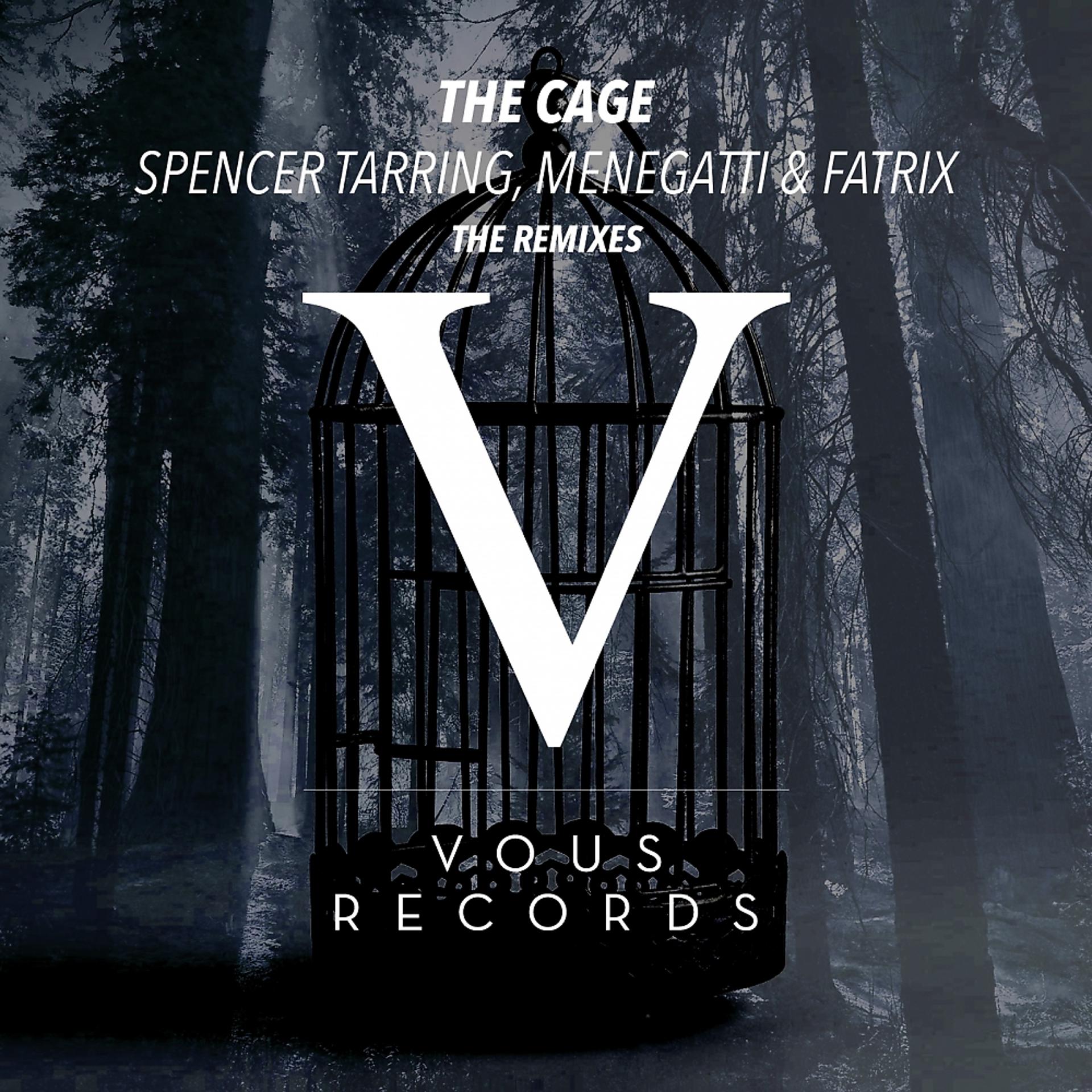 Постер альбома The Cage (The Remixes)