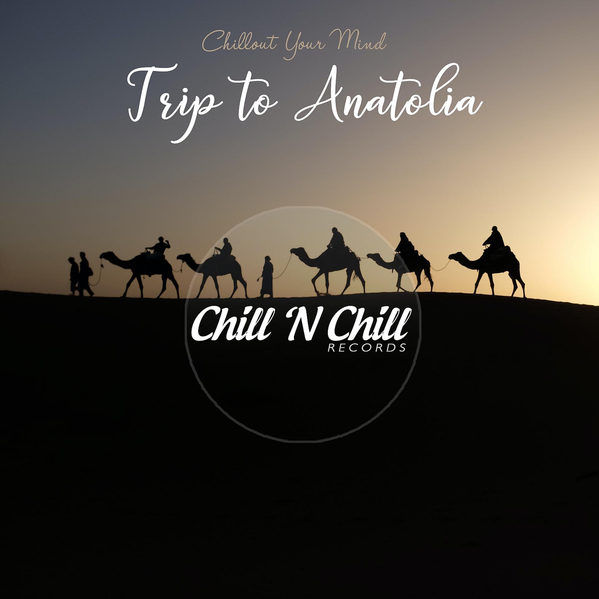 Постер альбома Trip to Anatolia: Chillout Your Mind