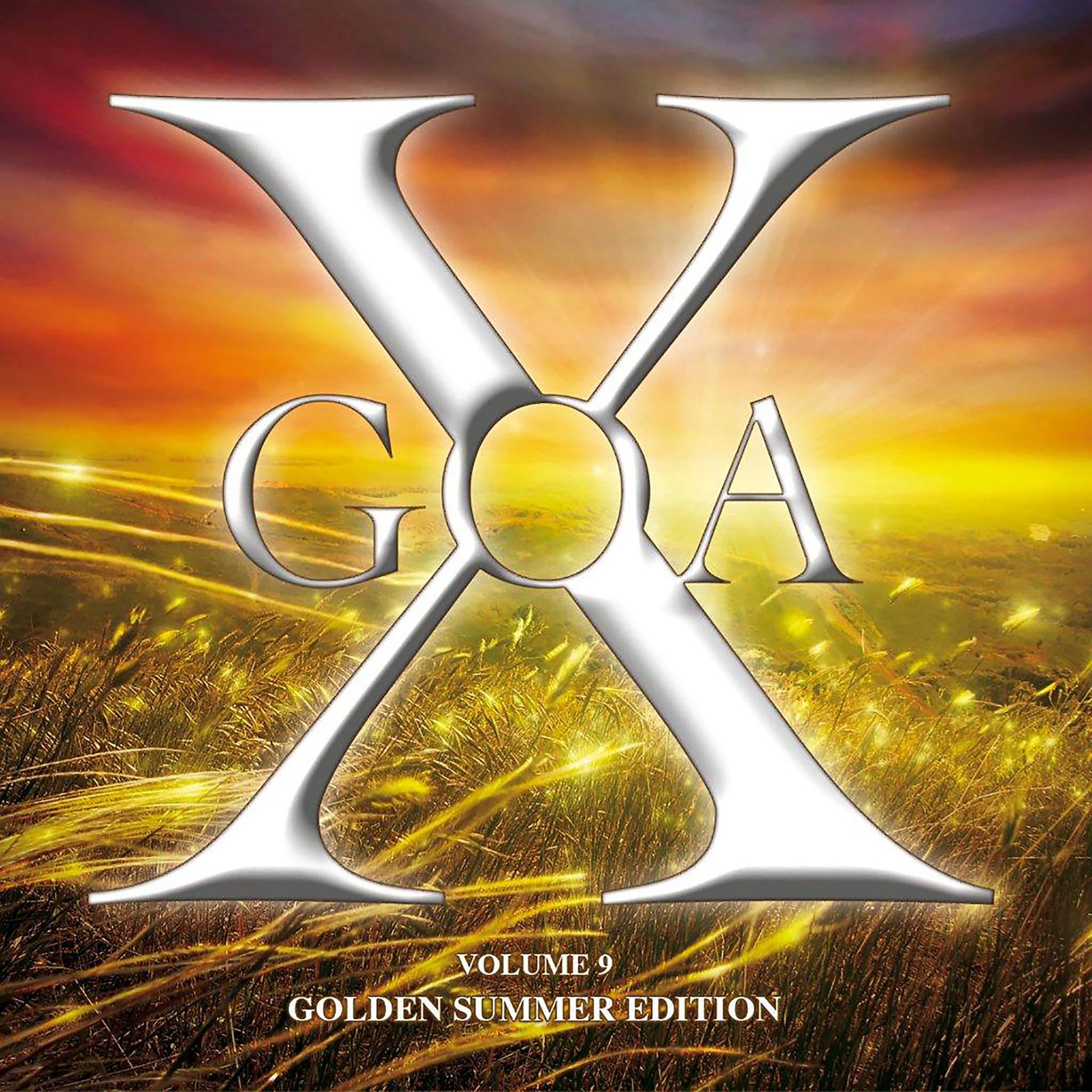 Постер альбома Goa X, Vol. 9