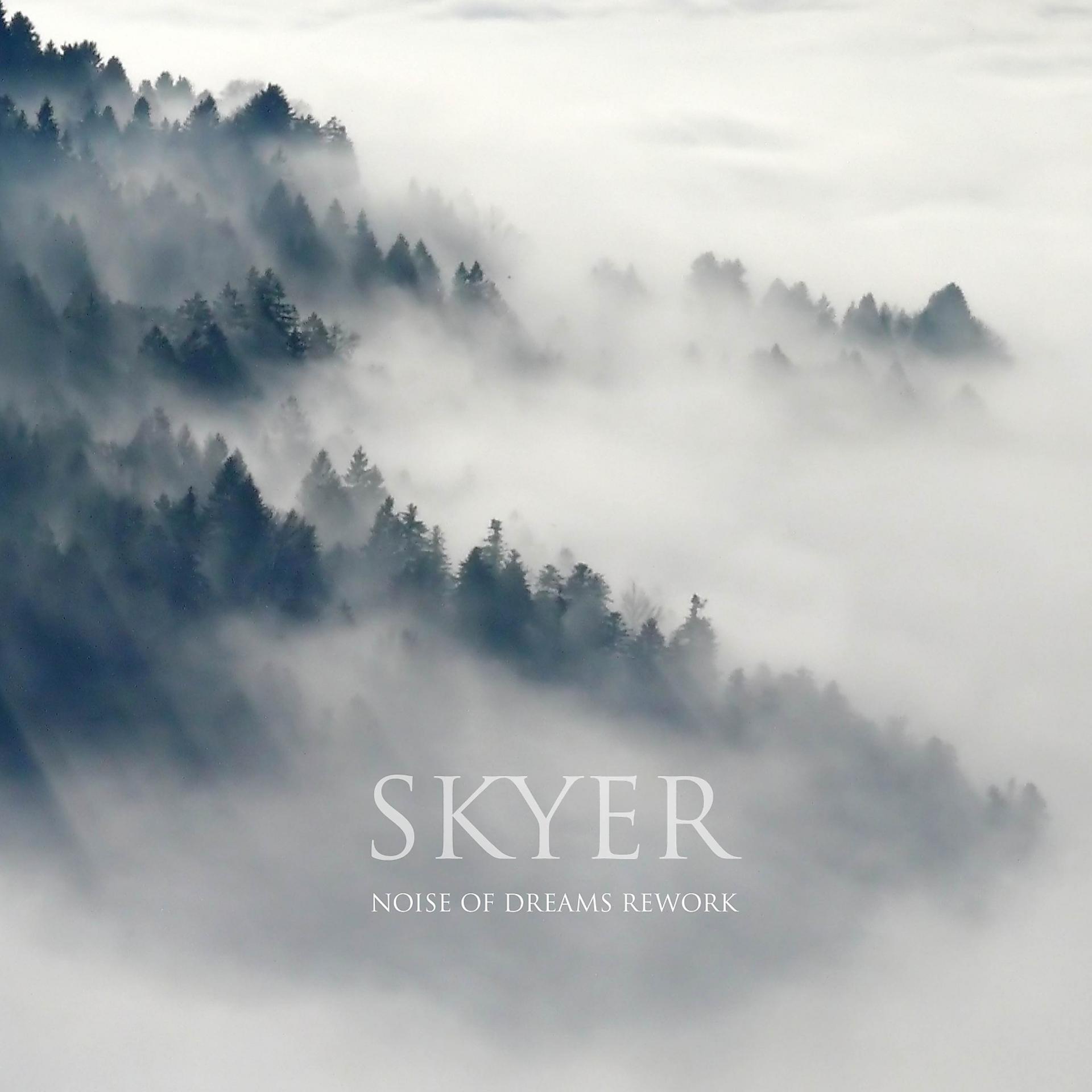 Постер альбома Skyer (Noise of Dreams Rework)