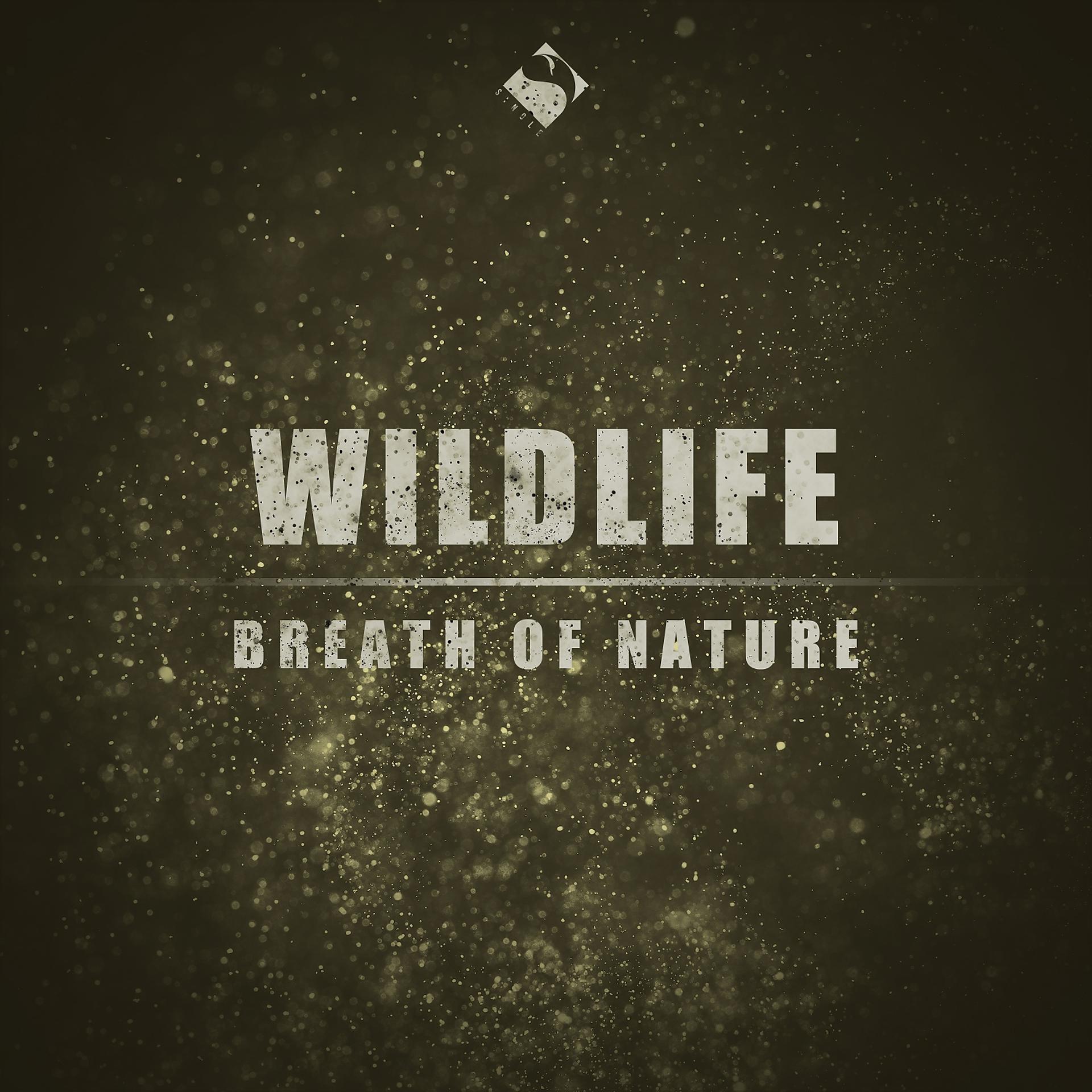 Постер альбома Breath of Nature