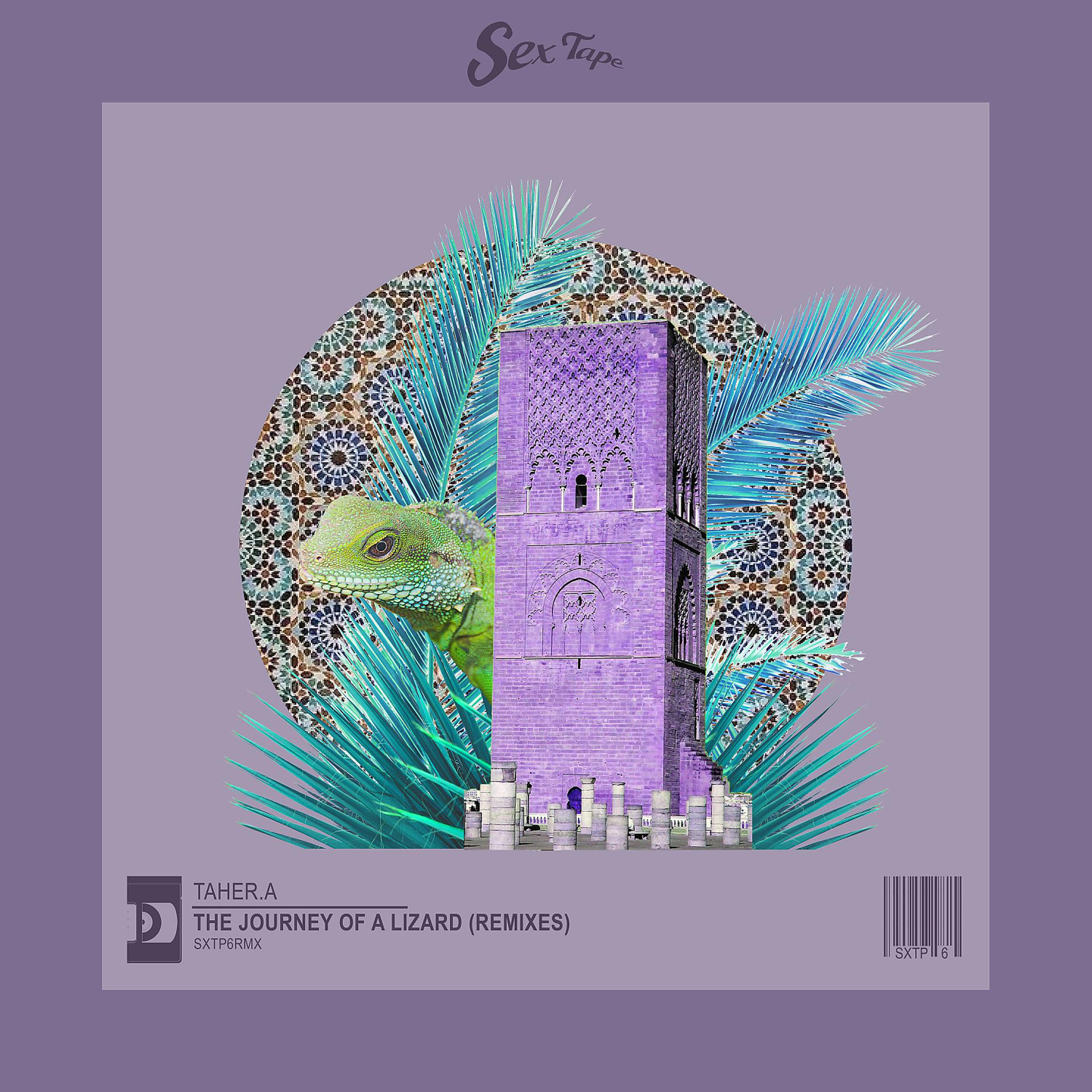 Постер альбома The Journey Of A Lizard (Remixes)