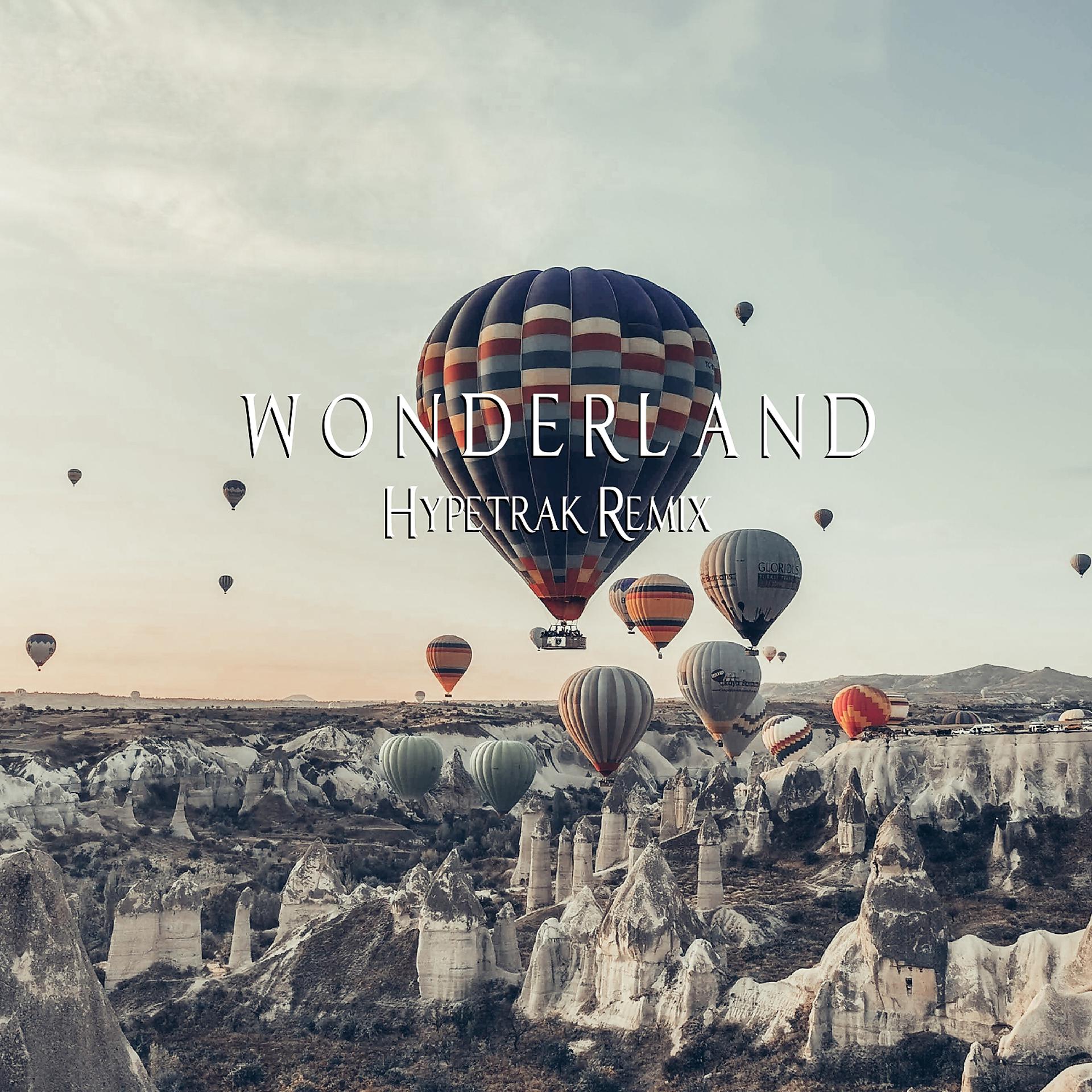 Постер альбома Wonderland (Hypetrak Remix)