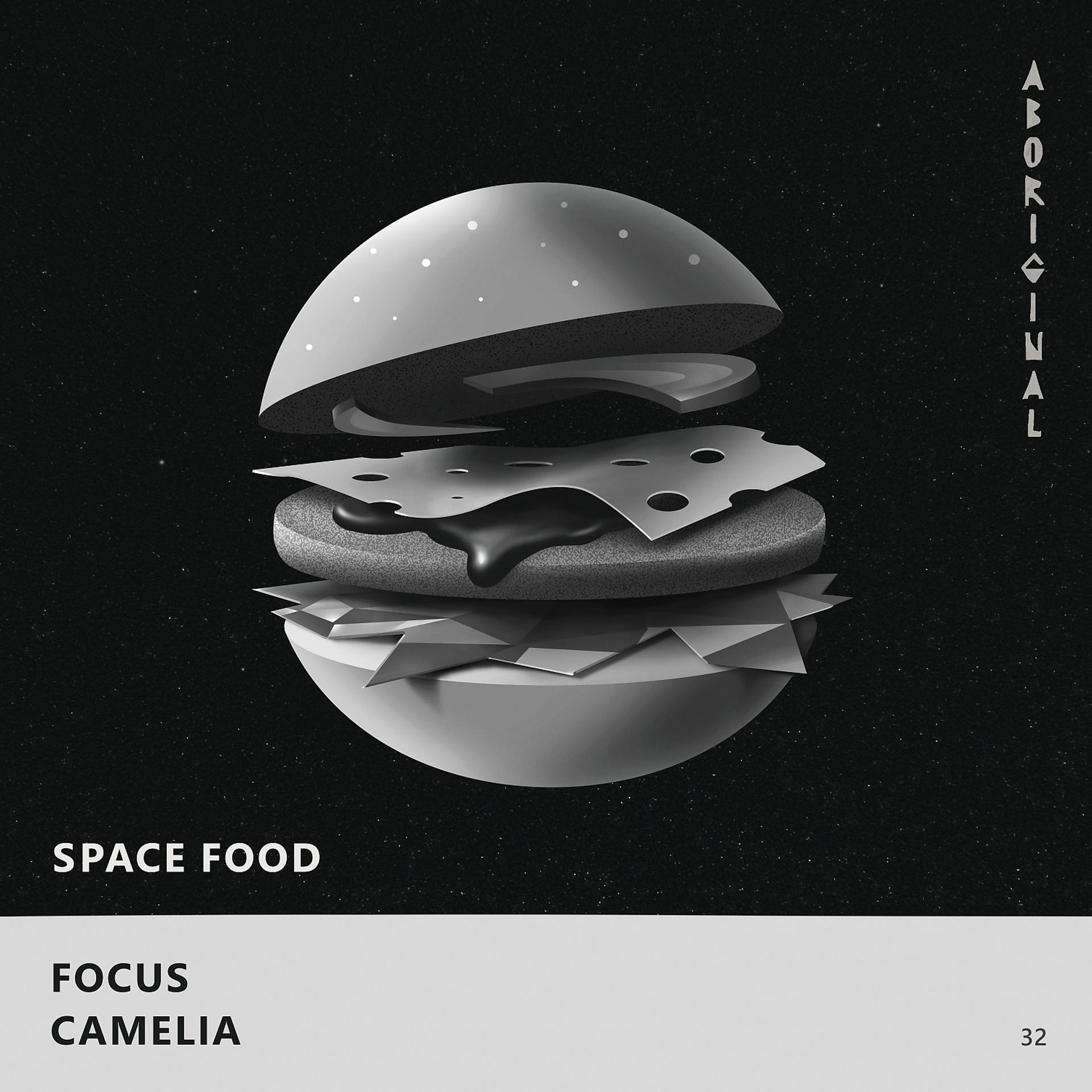 Постер альбома Focus / Camelia