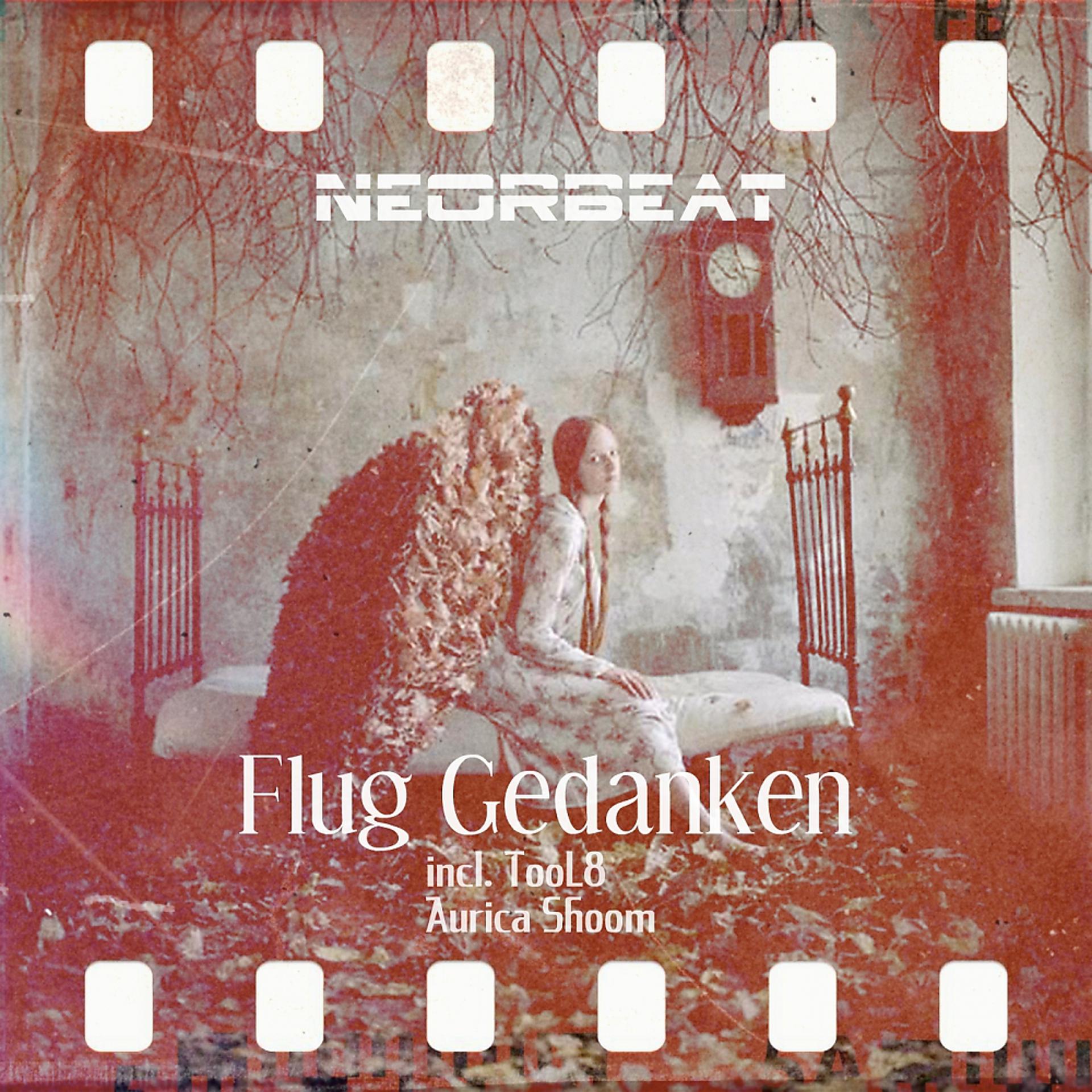 Постер альбома Flug Gedanken