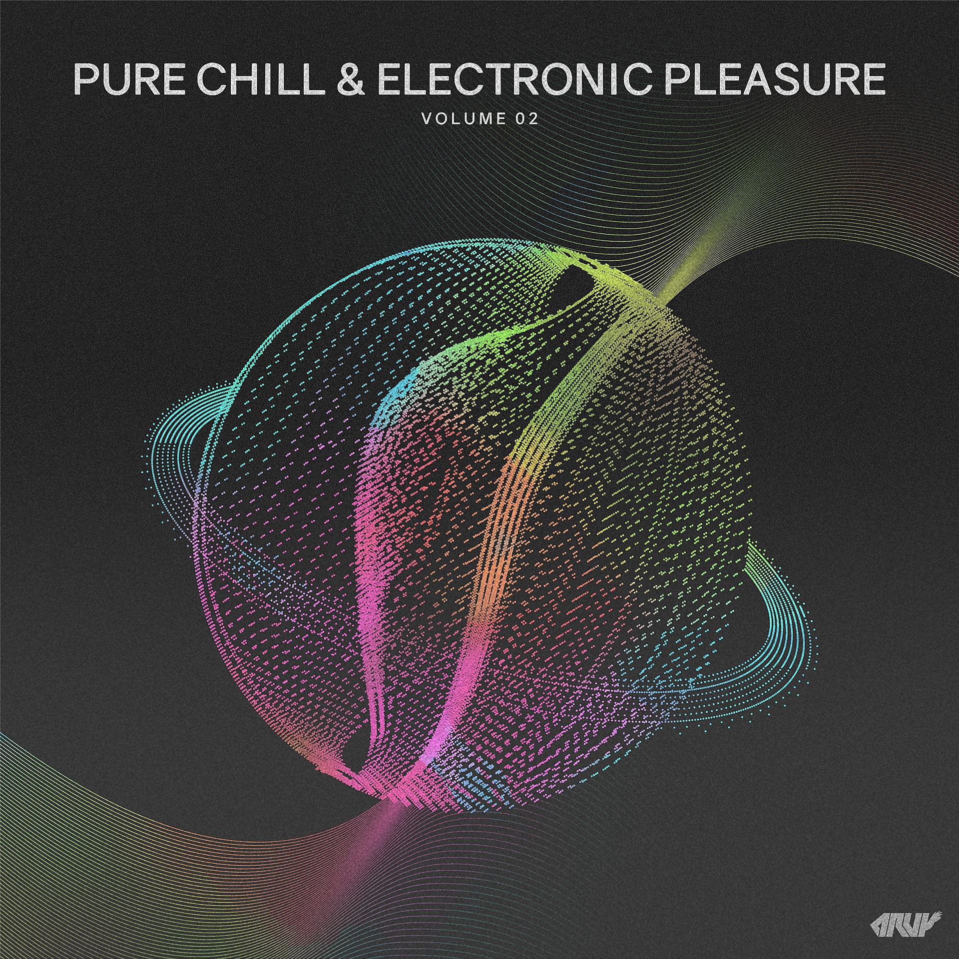 Постер альбома Pure Chill & Electronic Pleasure, Vol.02