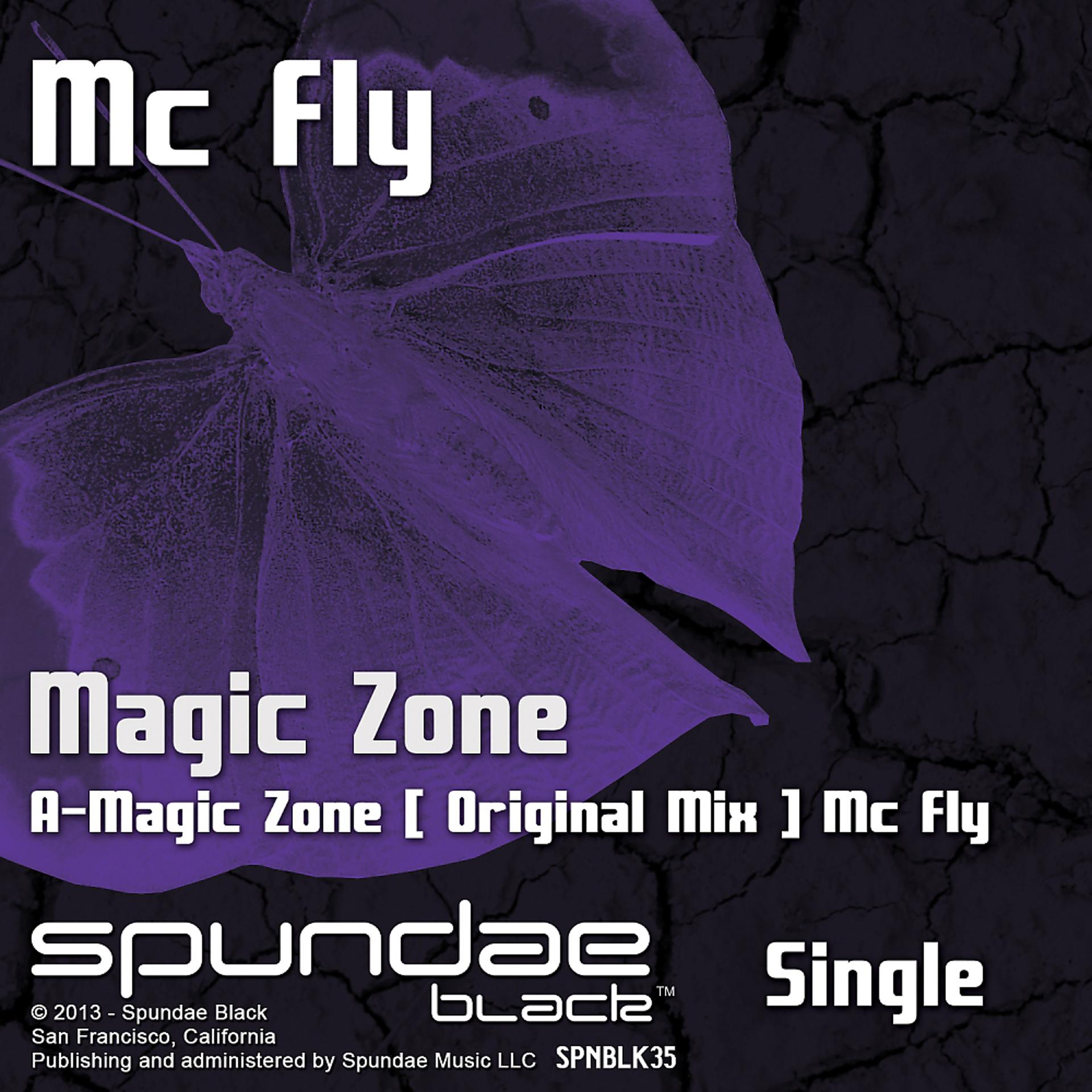 Постер альбома Magic Zone