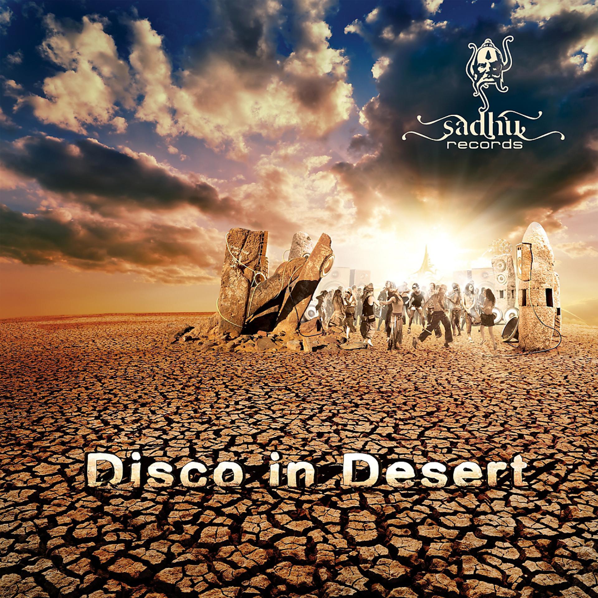 Постер альбома Disco In Desert