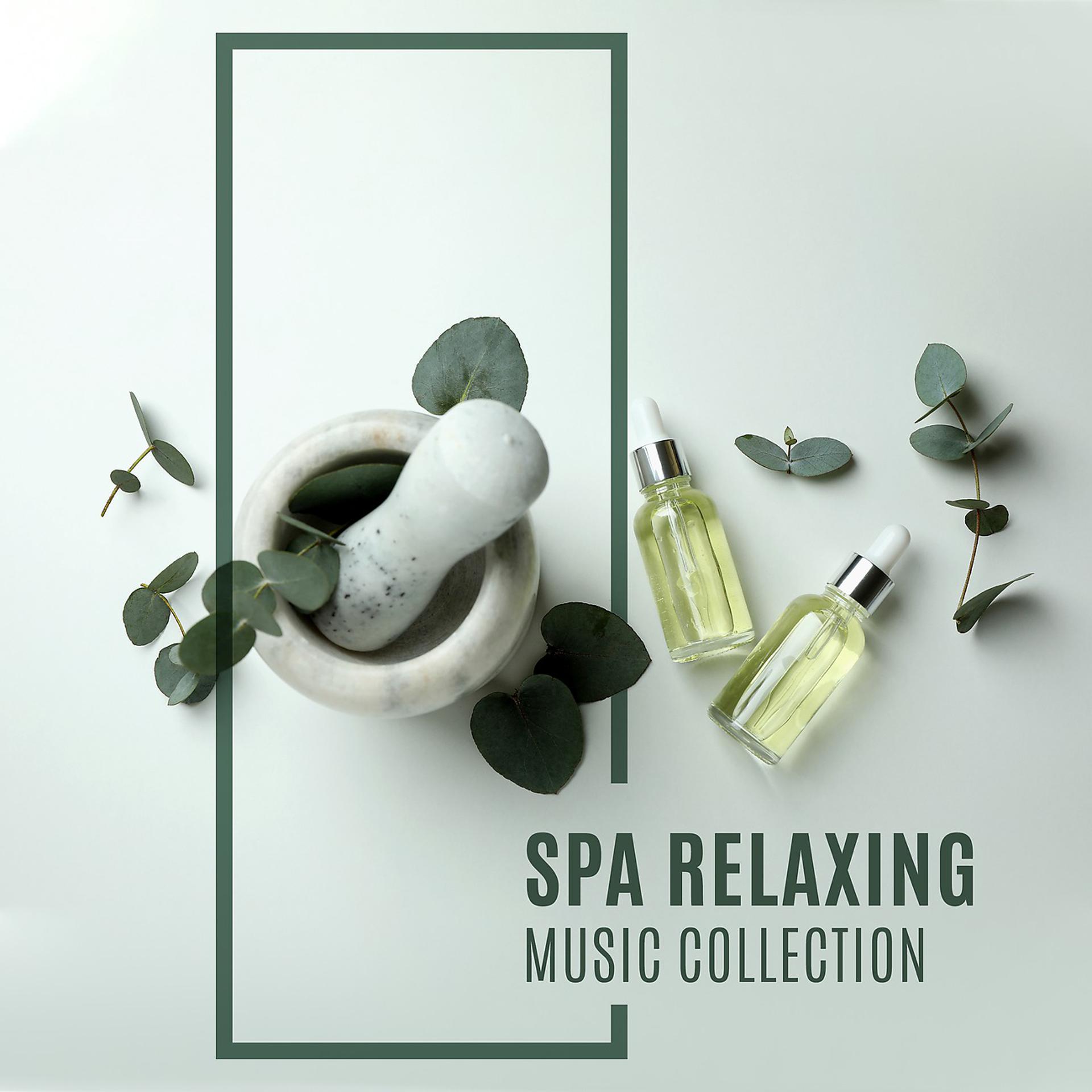 Постер альбома Spa Relaxing Music Collection