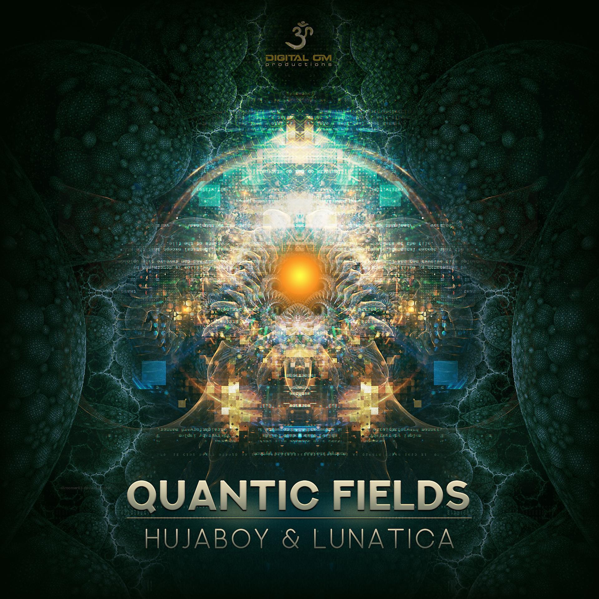 Постер альбома Quantic Fields