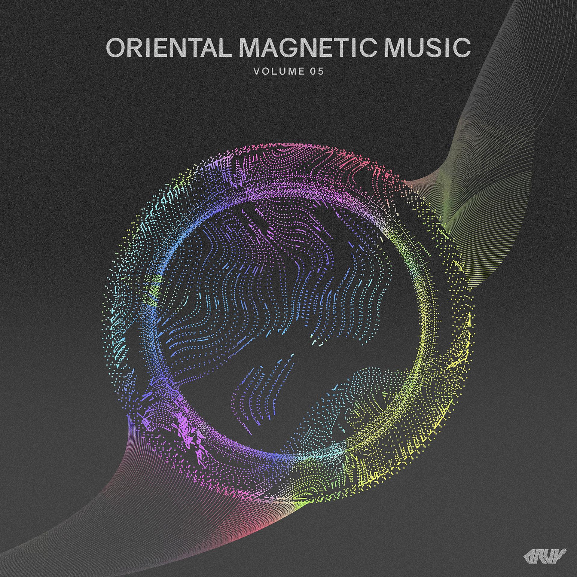 Постер альбома Oriental Magnetic Music, Vol.05