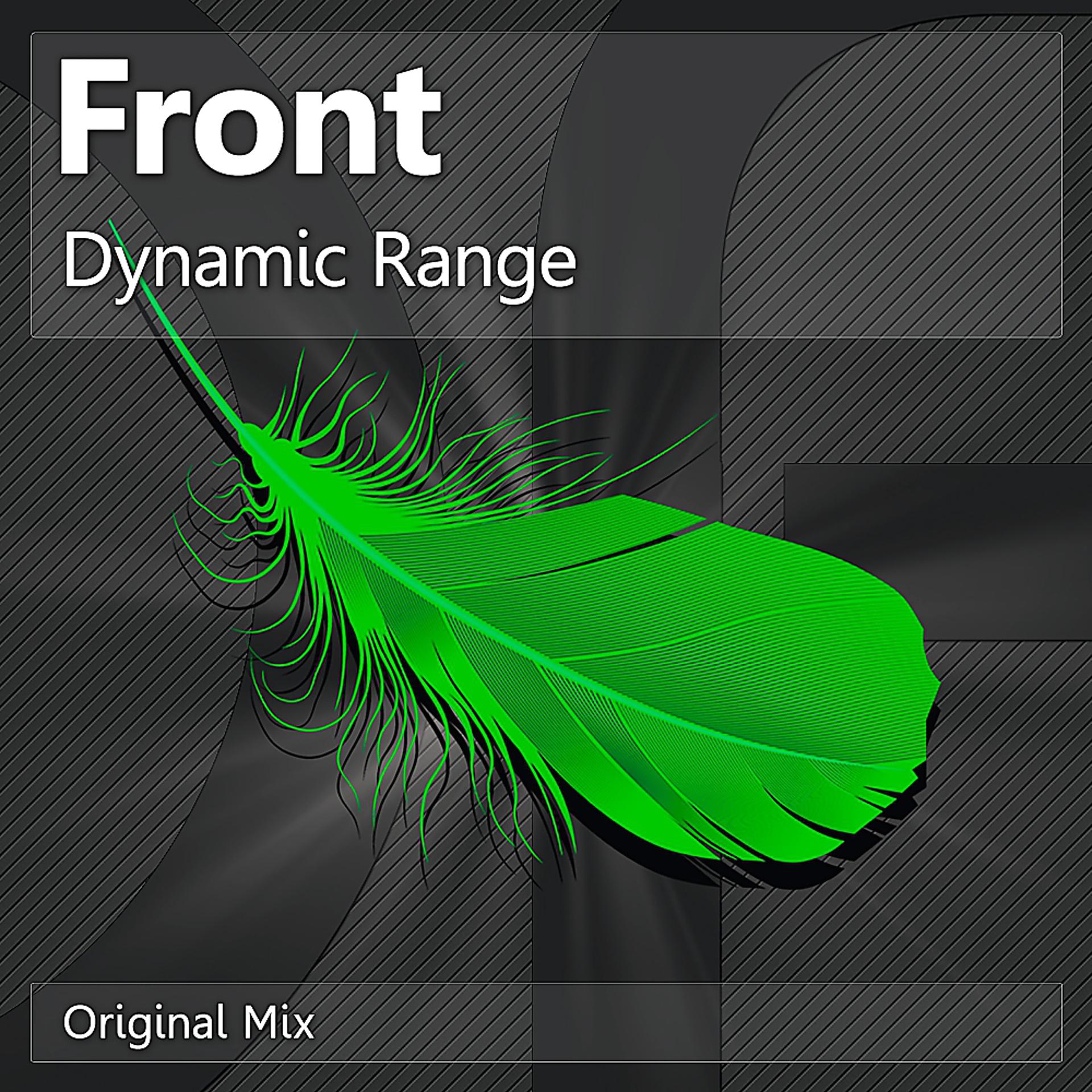 Постер альбома Dynamic Range