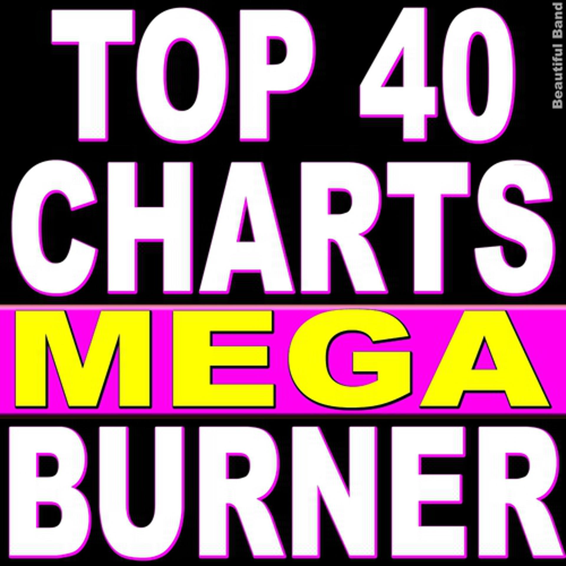 Постер альбома Top 40 Charts Mega Burner
