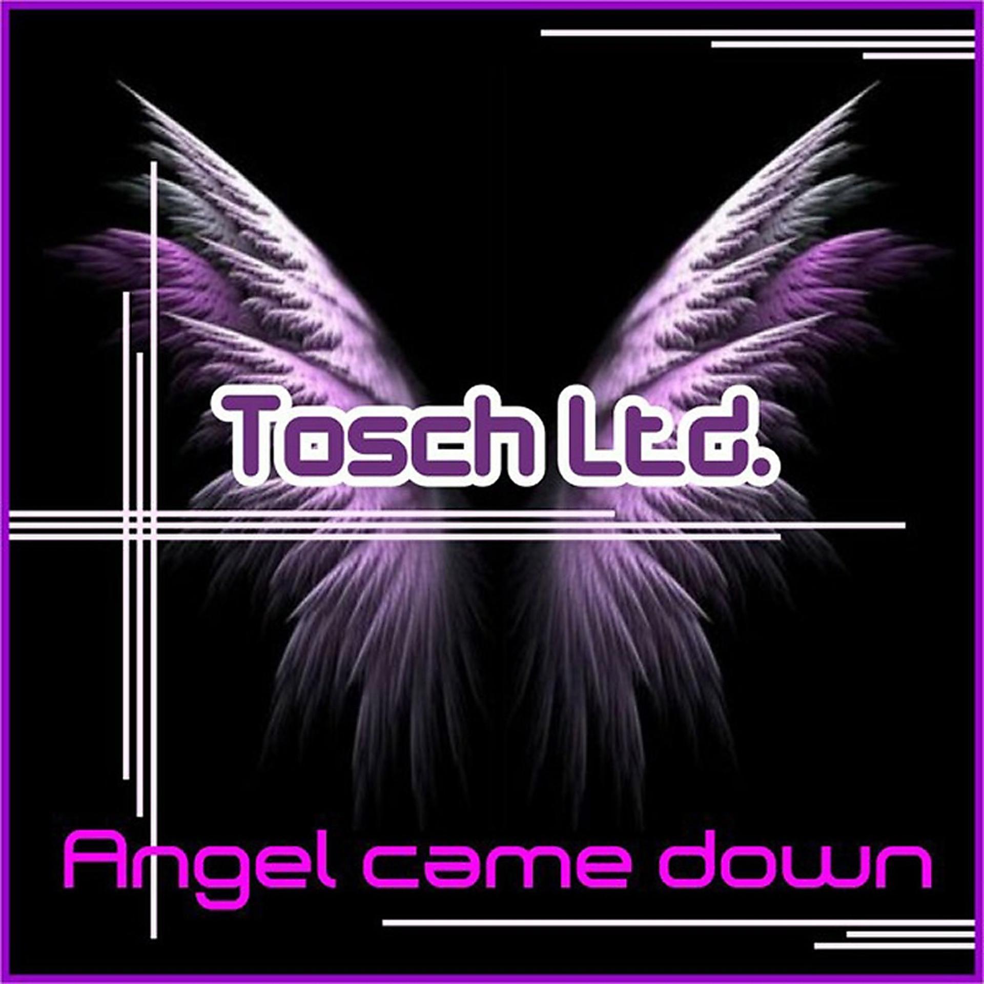 Постер альбома Angel Came Down