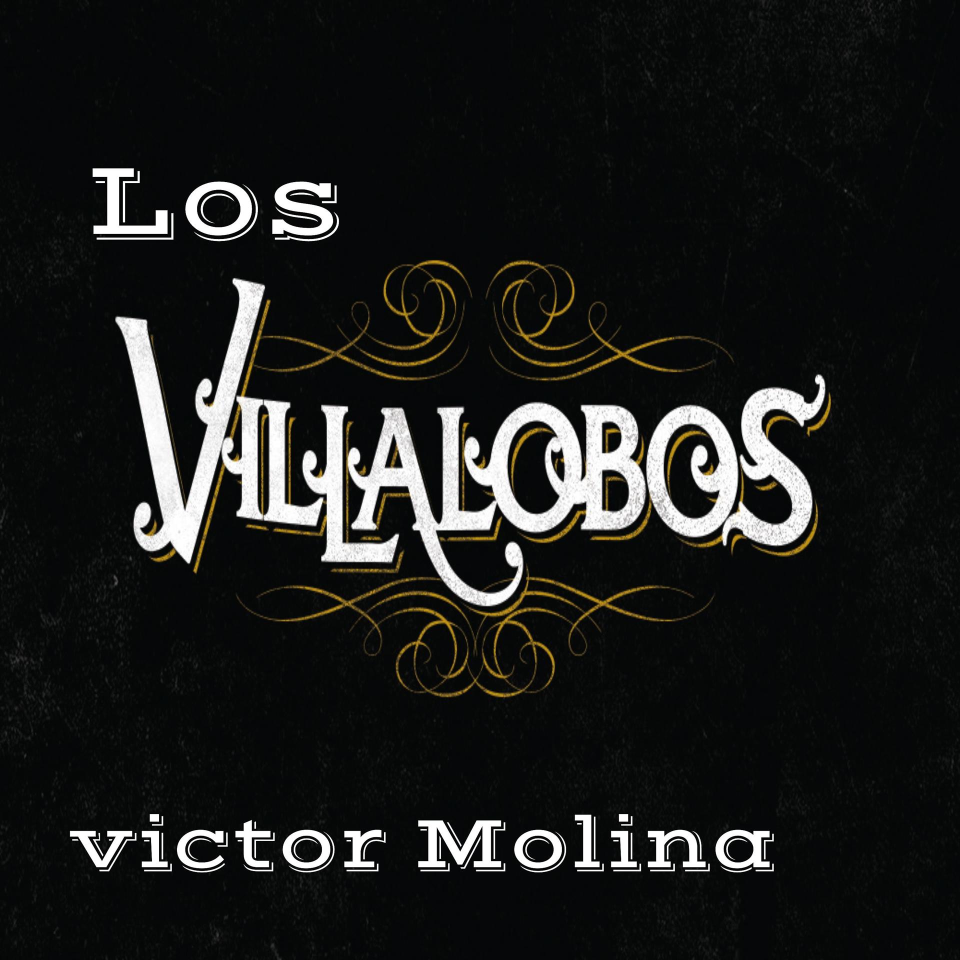 Постер альбома Los Villalobos