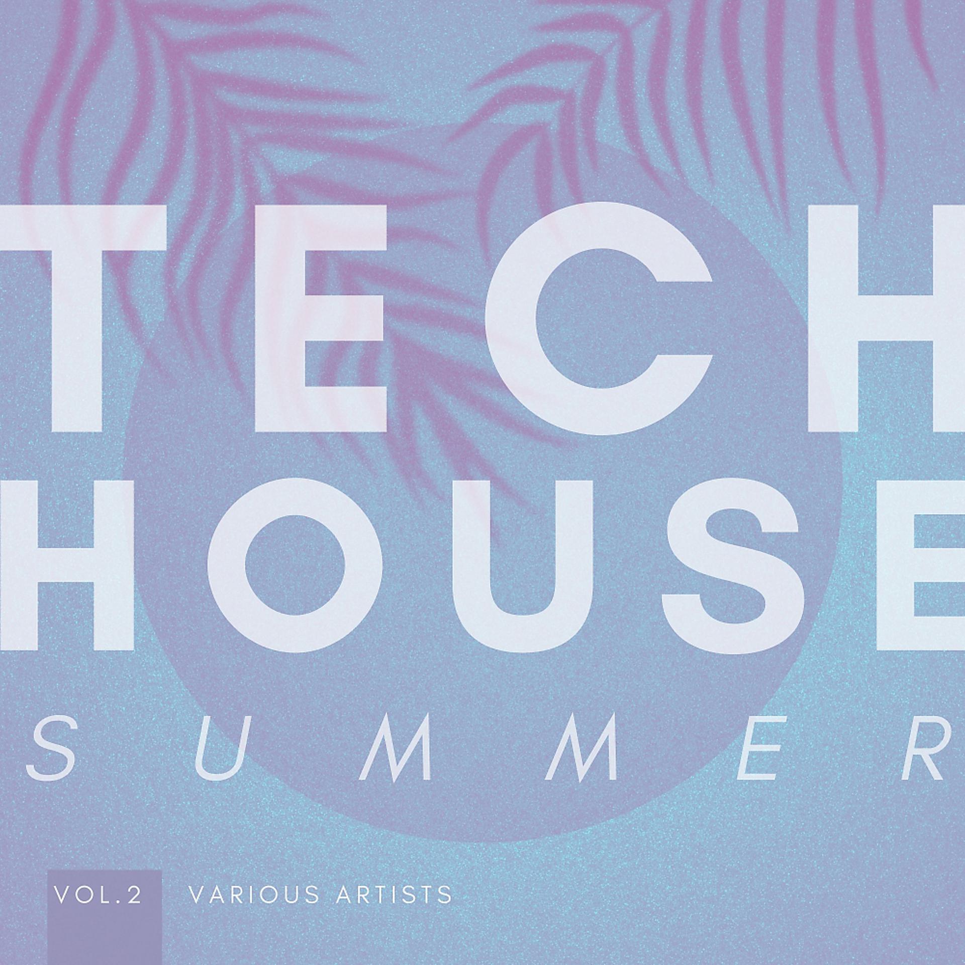 Постер альбома Tech House Summer, Vol. 2