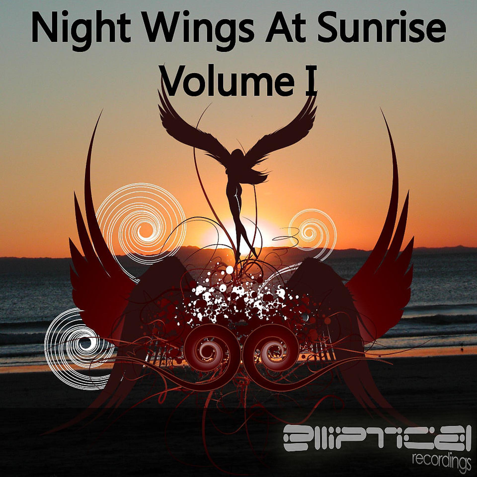 Постер альбома Night Wings At Sunrise Volume I