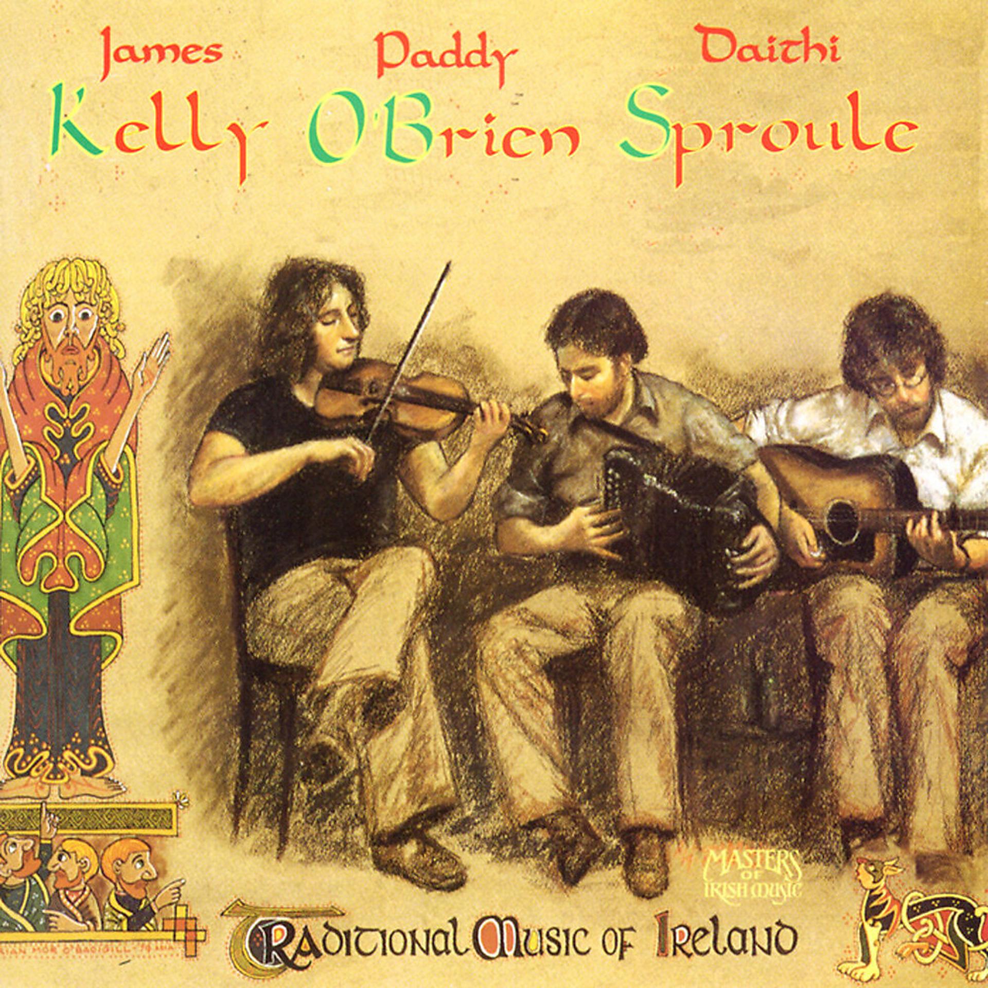 Постер альбома Traditional Music Of Ireland