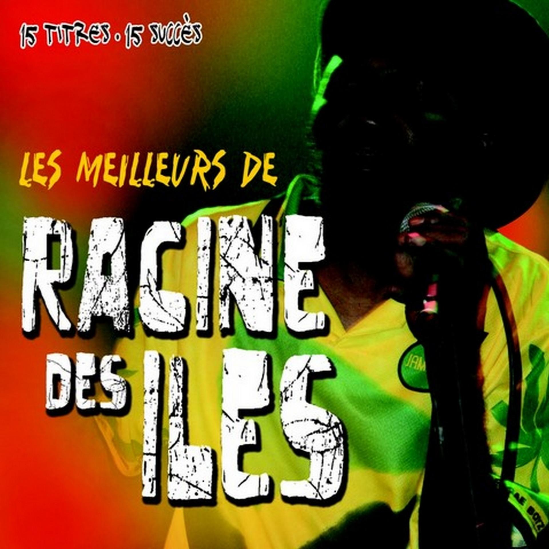 Постер альбома Les meilleurs de Racine des Iles
