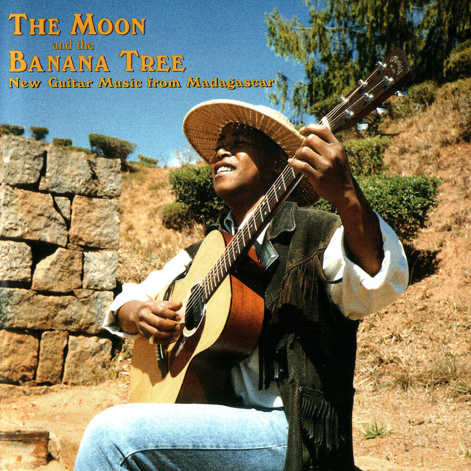 Постер альбома The Moon & The Banana Tree-Madagascar Guitar