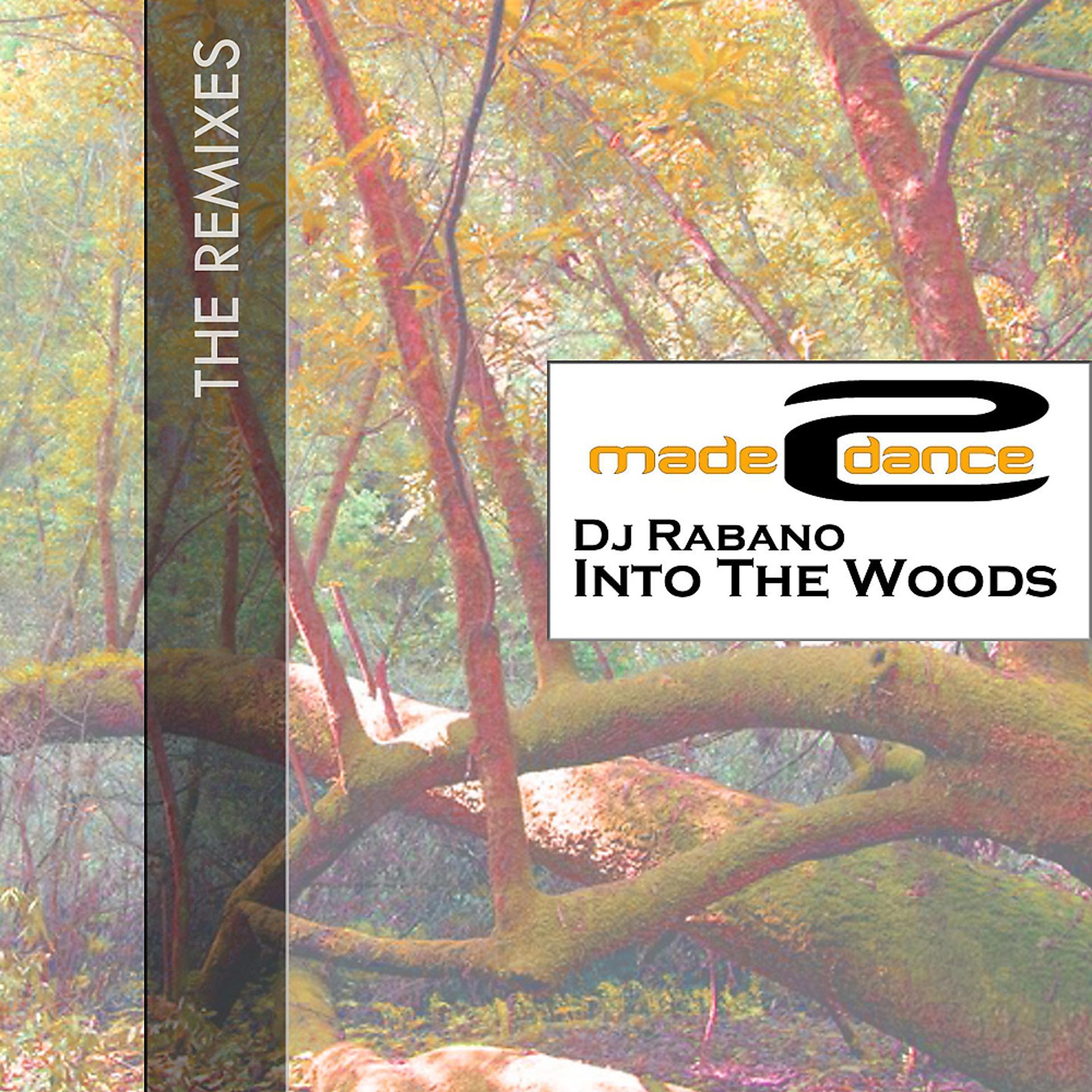 Постер альбома Into The Woods (The Remixes)