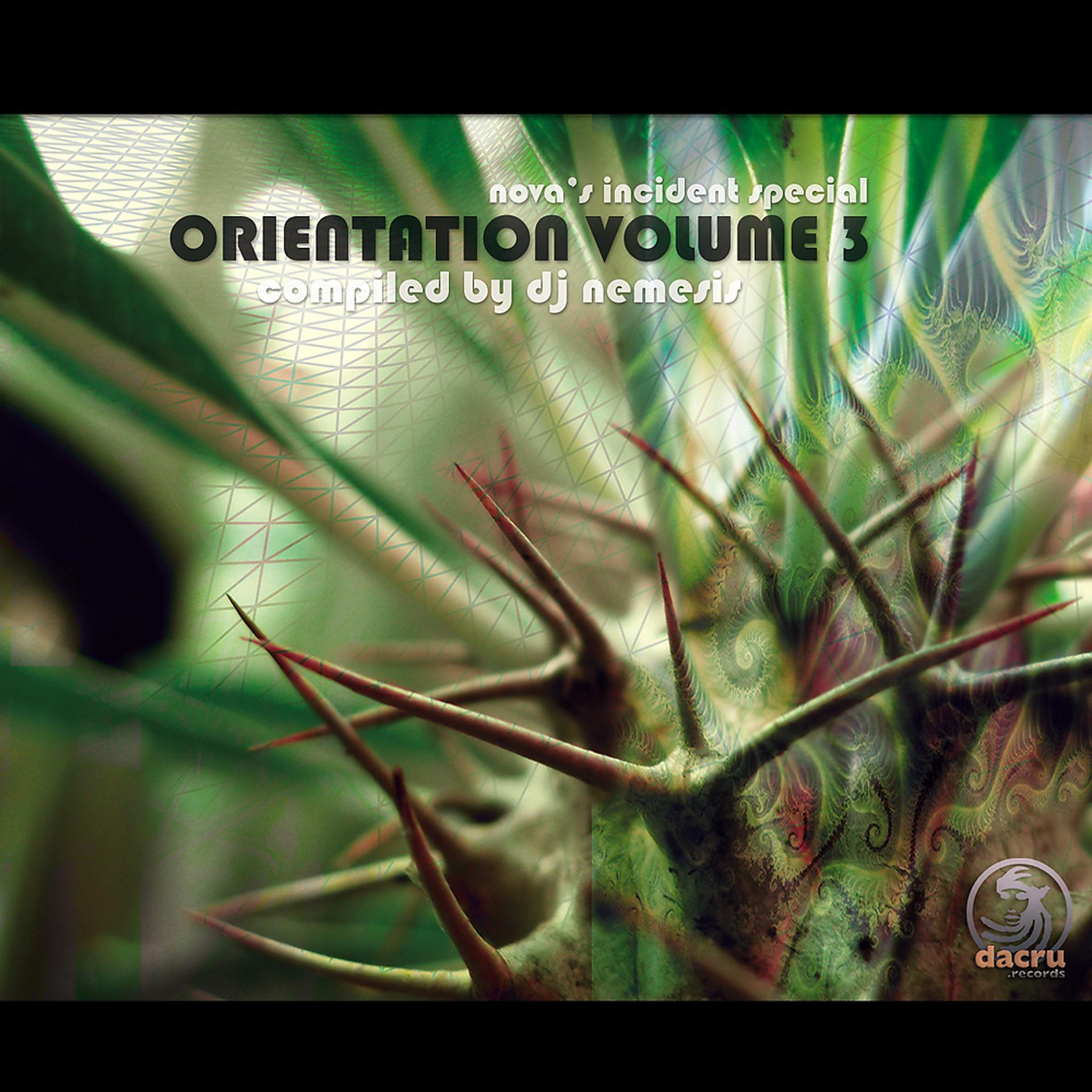 Постер альбома Orientation Vol.3