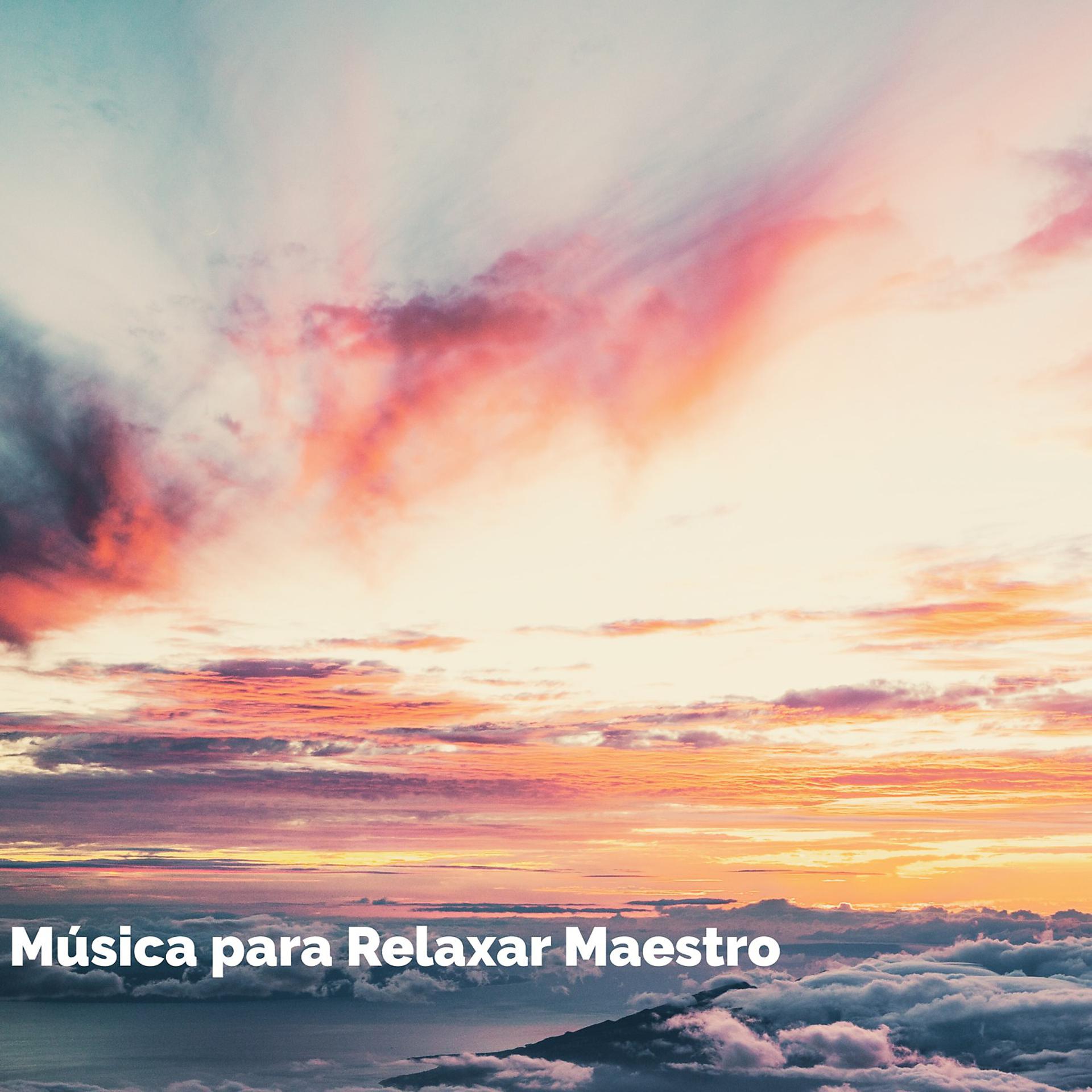 Постер альбома Música para Relaxar Maestro