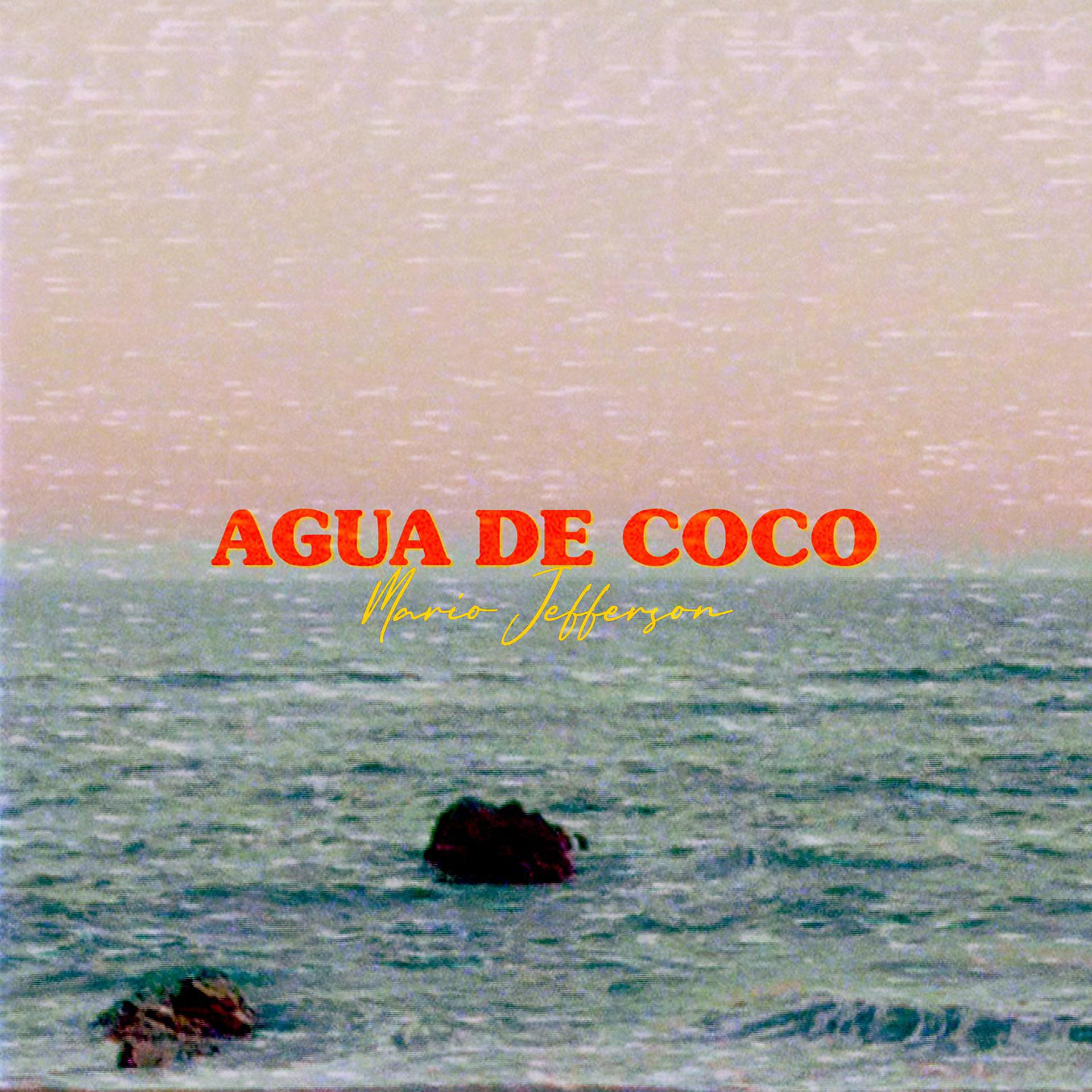 Постер альбома Agua de Coco