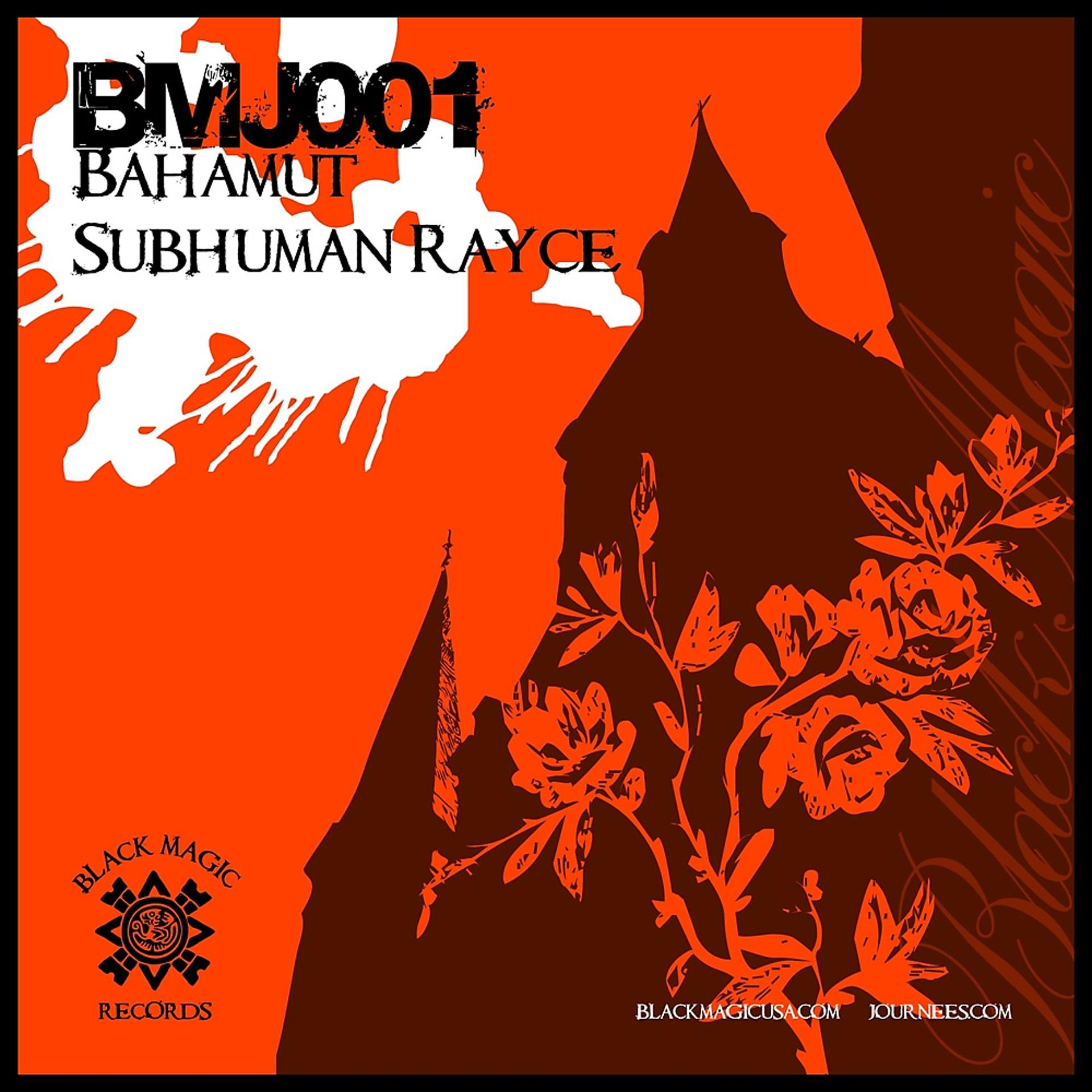 Постер альбома Subhuman Rayce