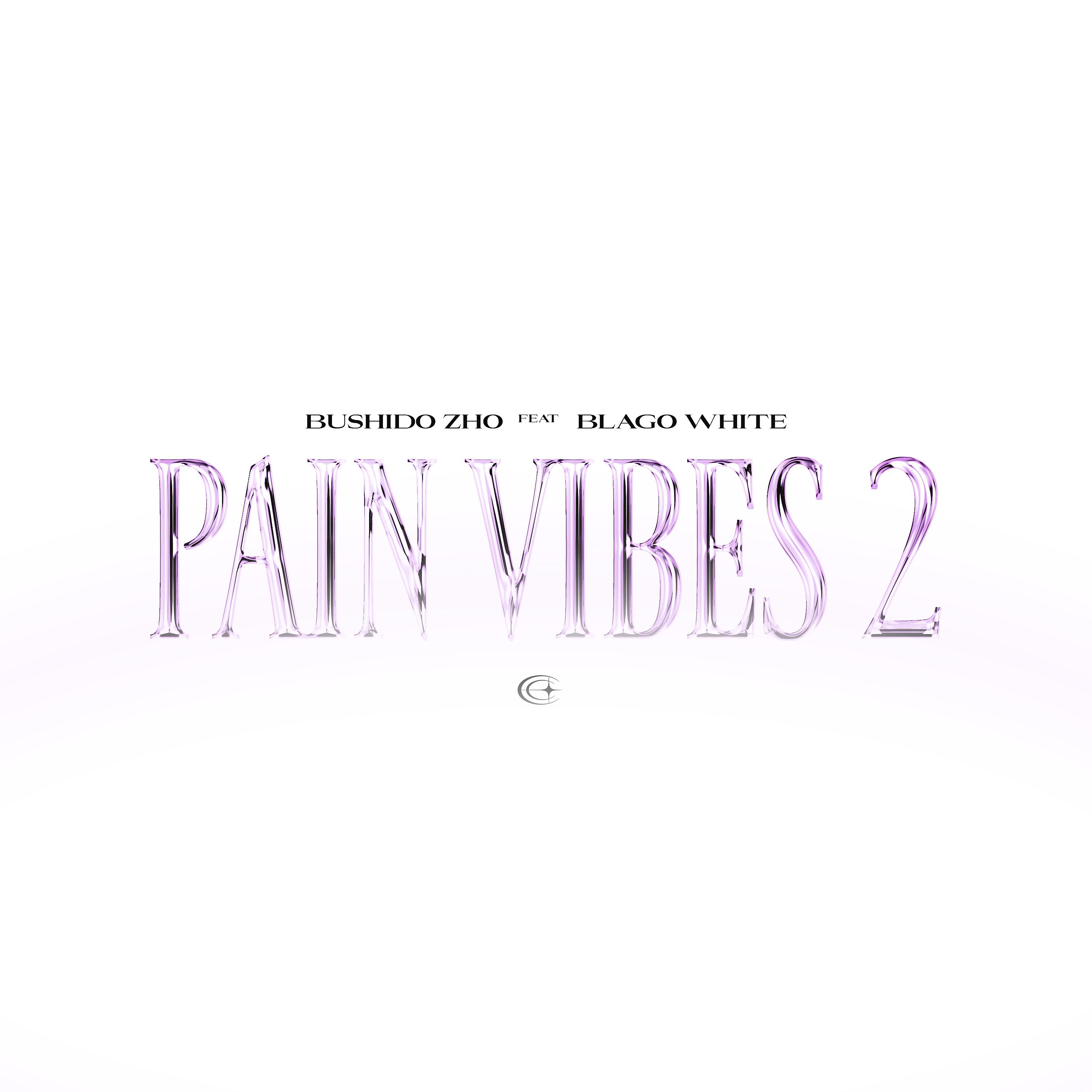 Постер альбома PAIN VIBES 2