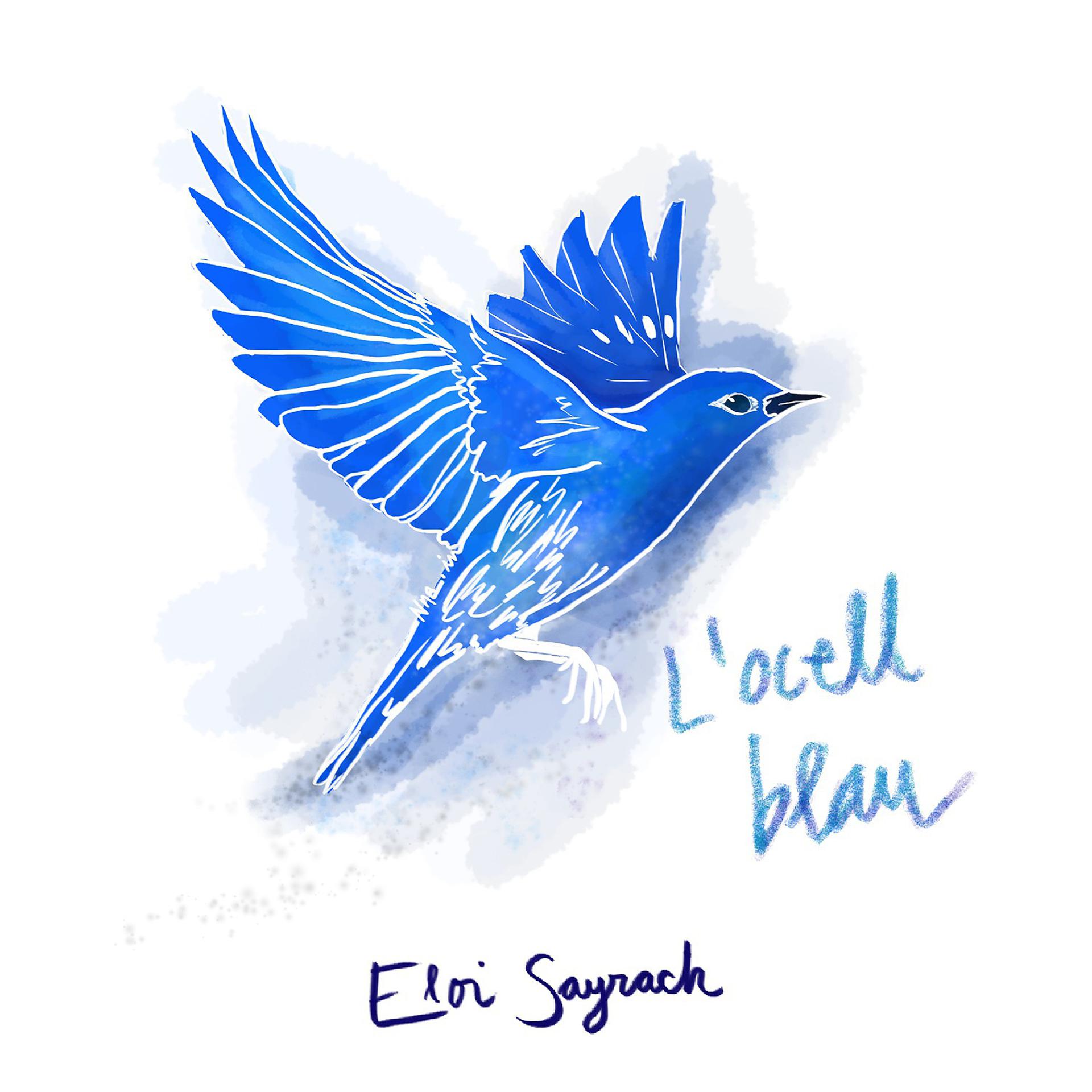 Постер альбома L'ocell blau