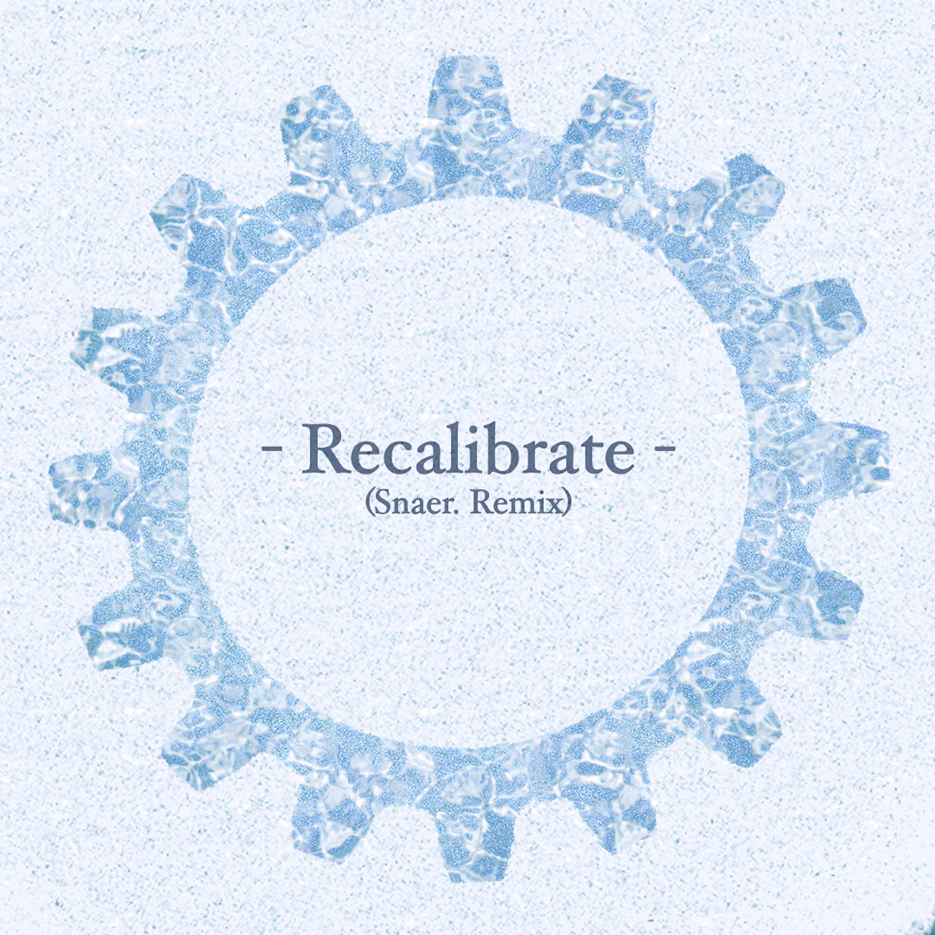 Постер альбома Recalibrate (Snaer. Remix)