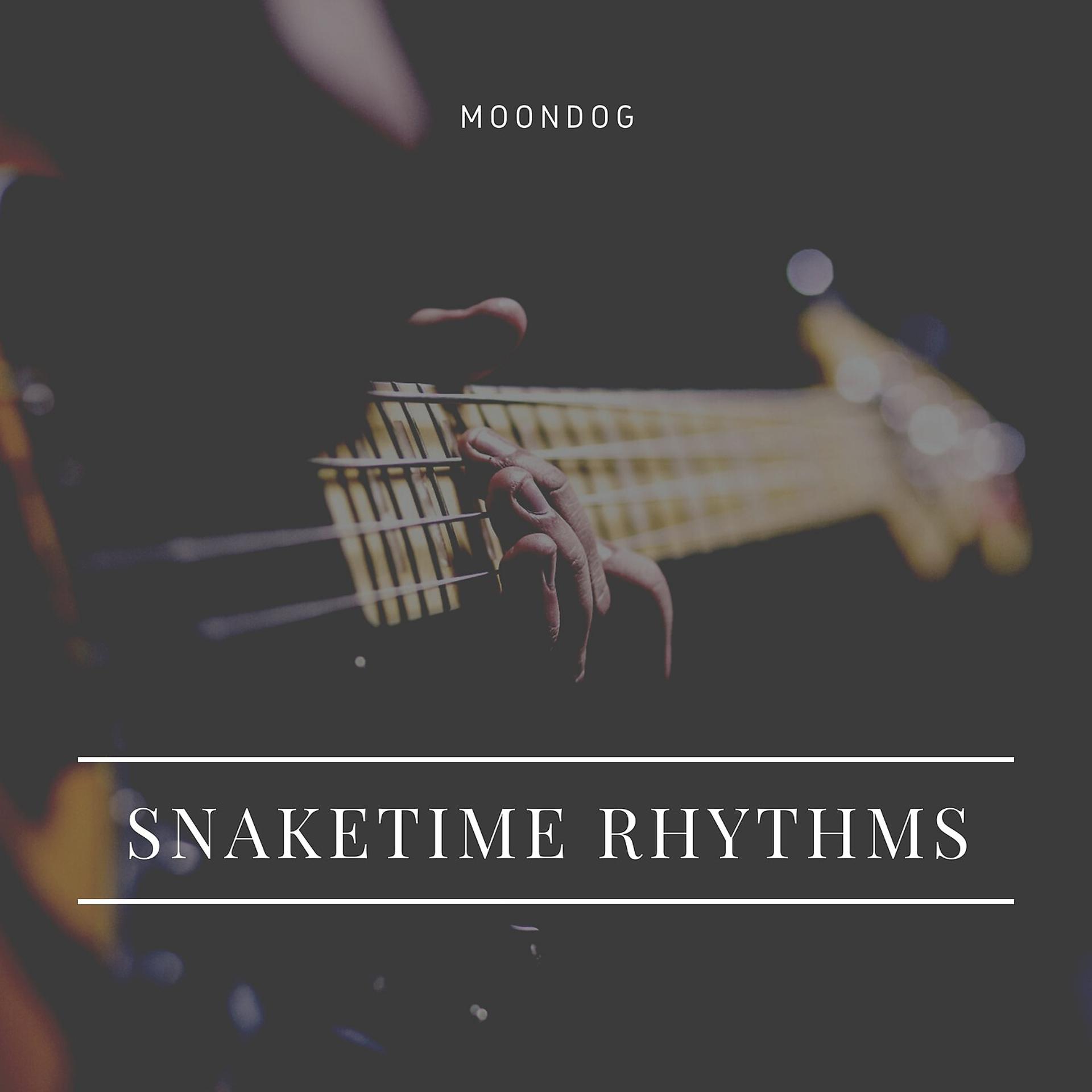 Постер альбома Snaketime Rhythms