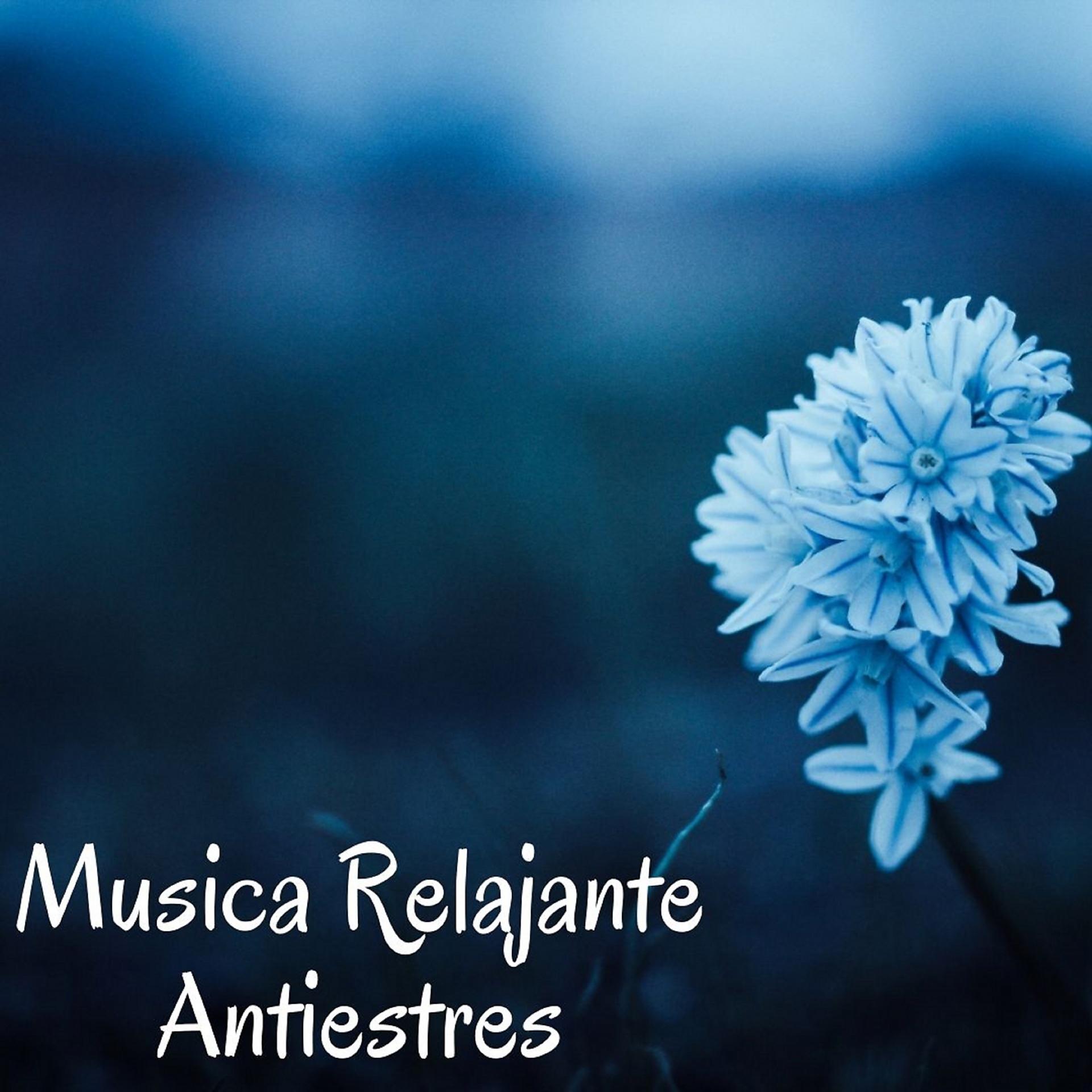 Постер альбома Música Relajante Antiestrés