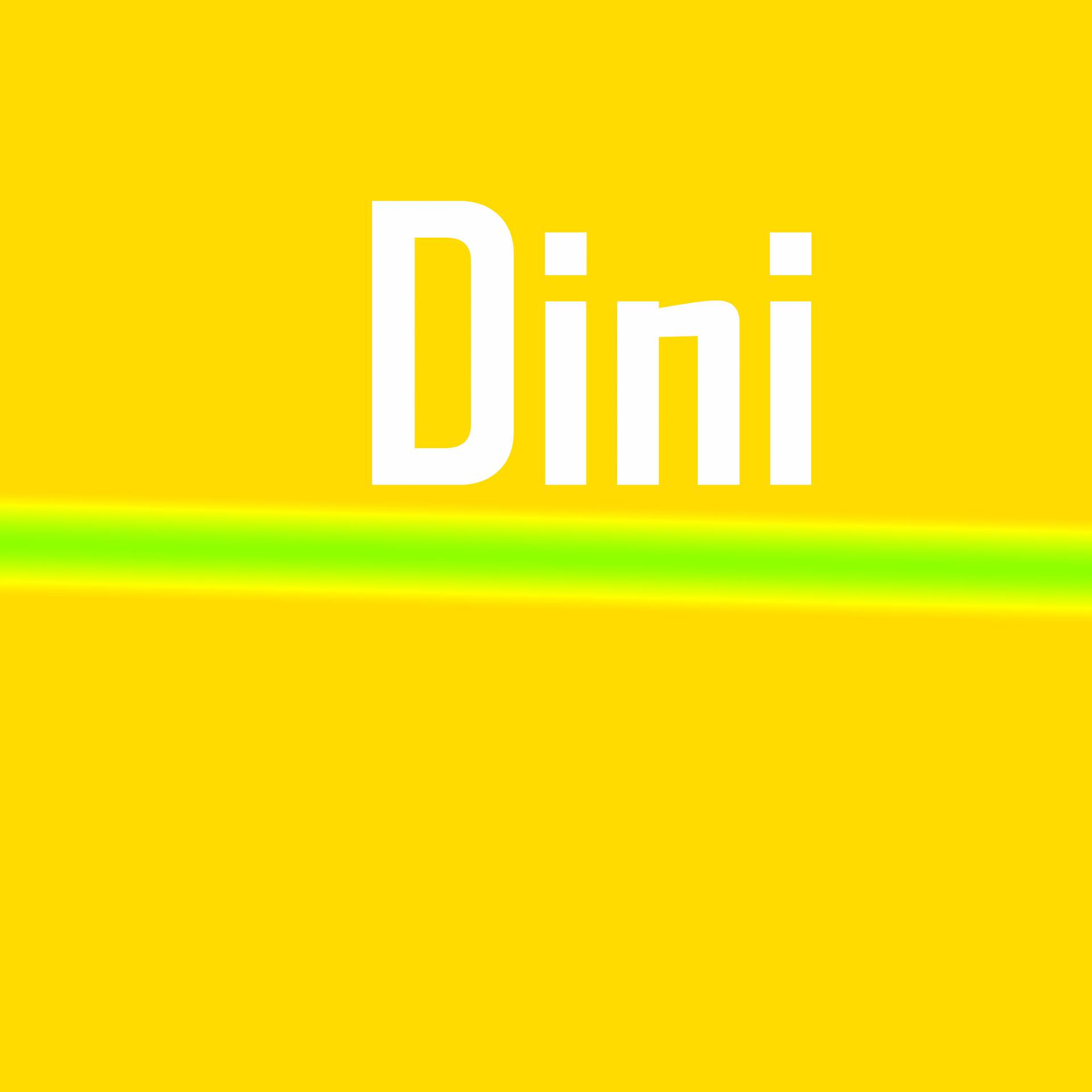 Постер альбома Dini