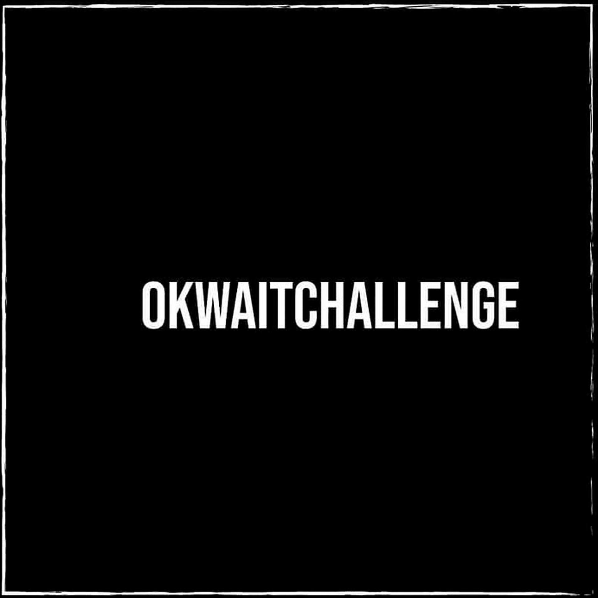 Постер альбома Ok Wait Challenge, Pt. 1