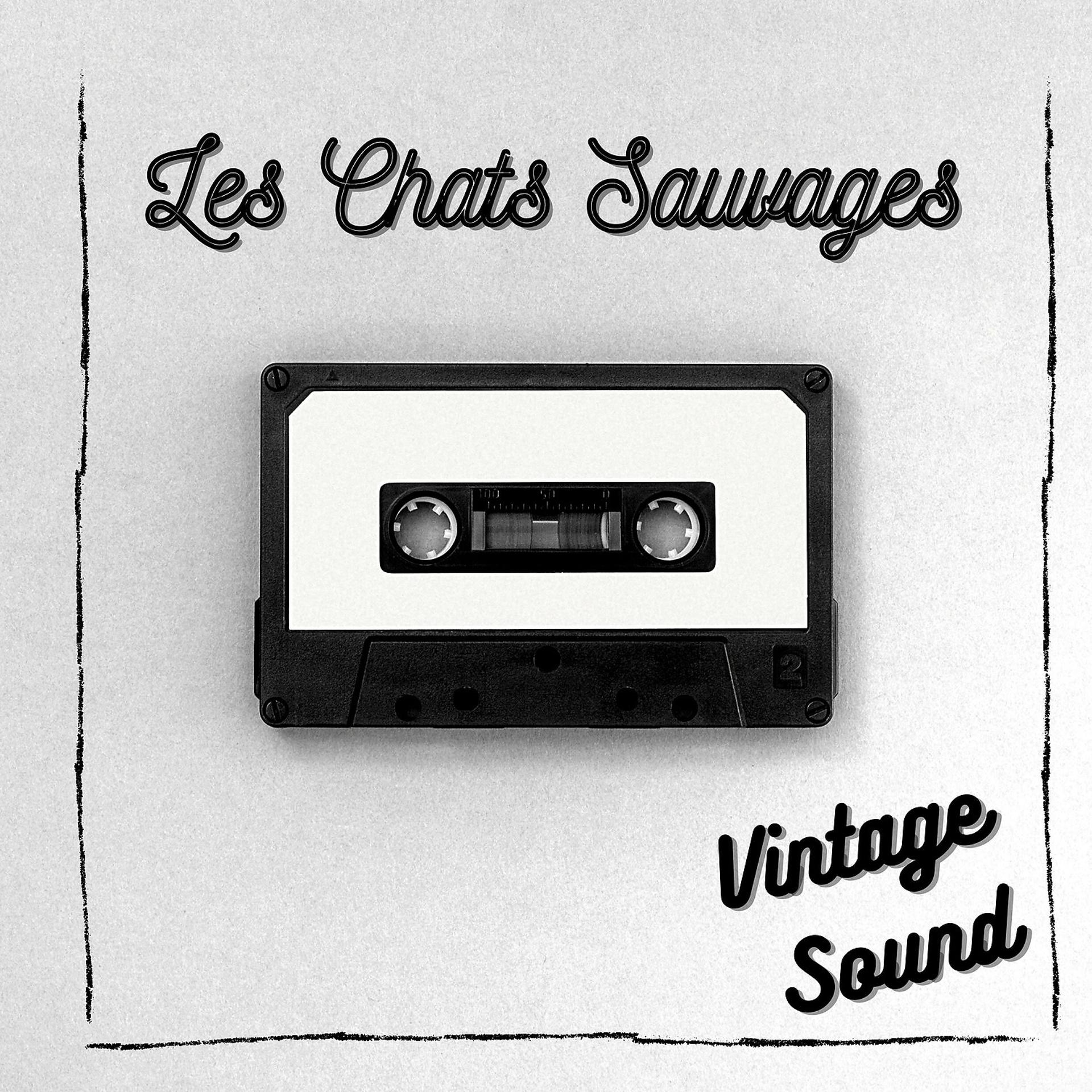 Постер альбома Les chats sauvages - Vintage Sound