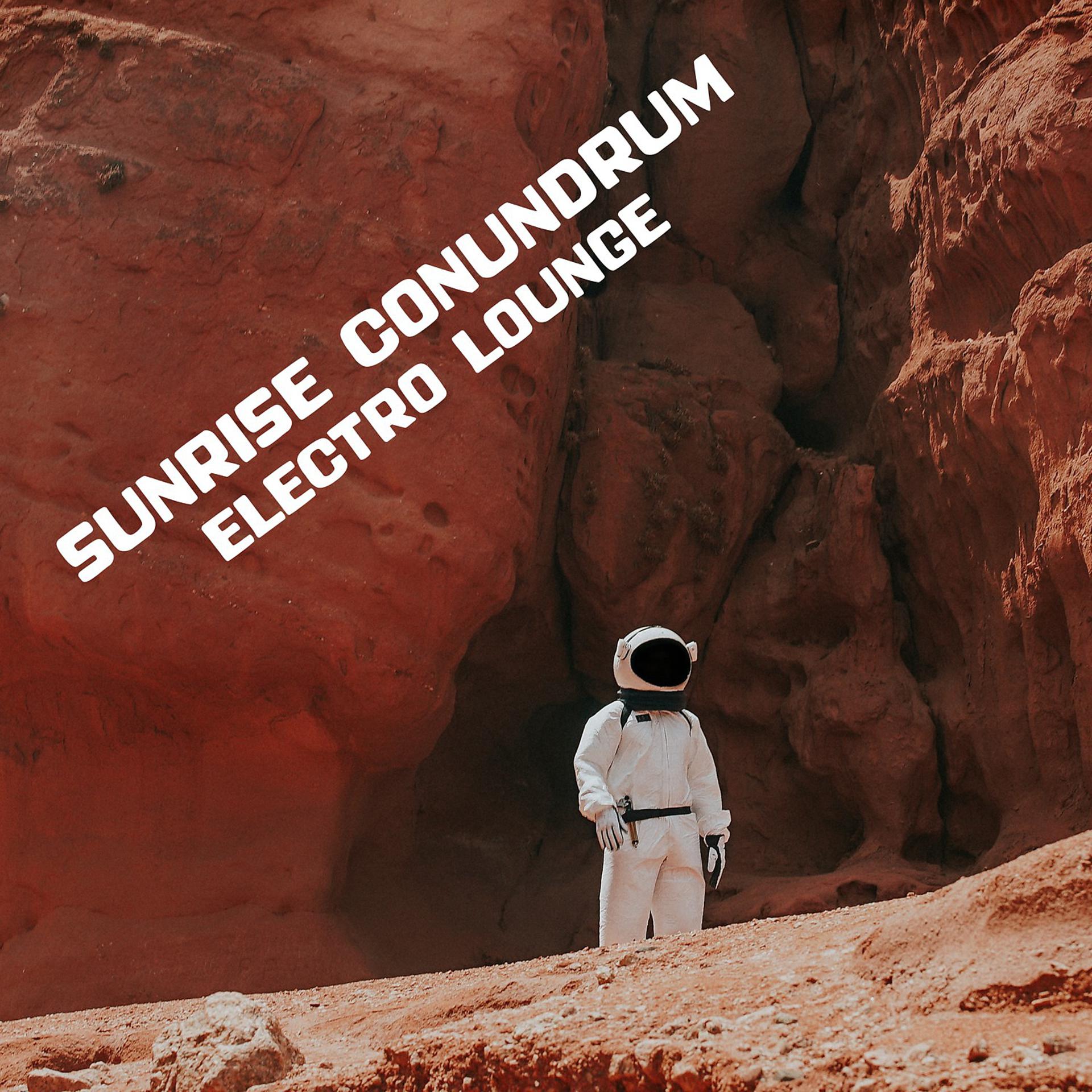Постер альбома Sunrise Conundrum (Electro Lounge)